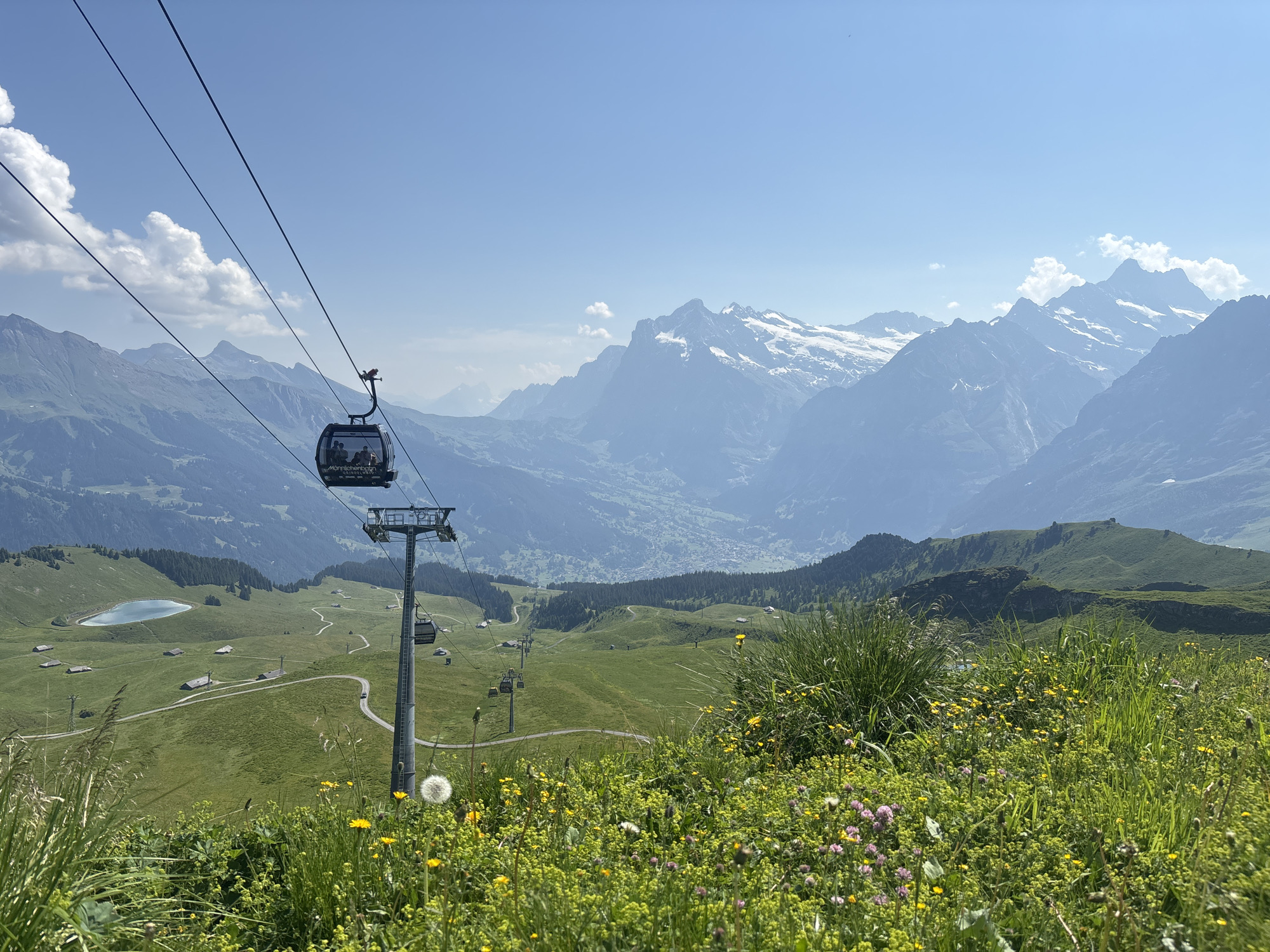 Sunny morning in Grindelwald: meadows, cable cars, alpine views