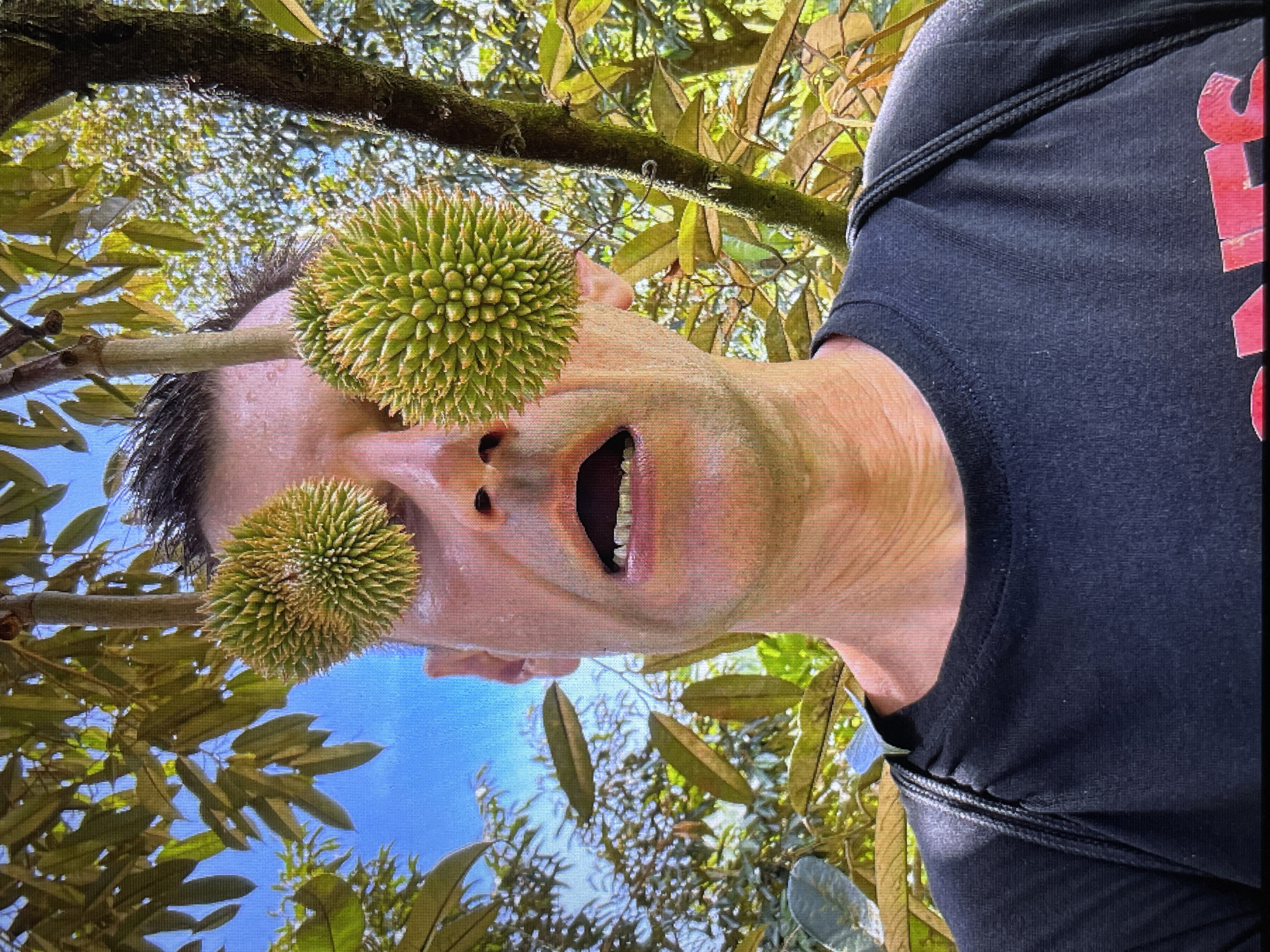 Durian goofing around and a golden Buddha shrine