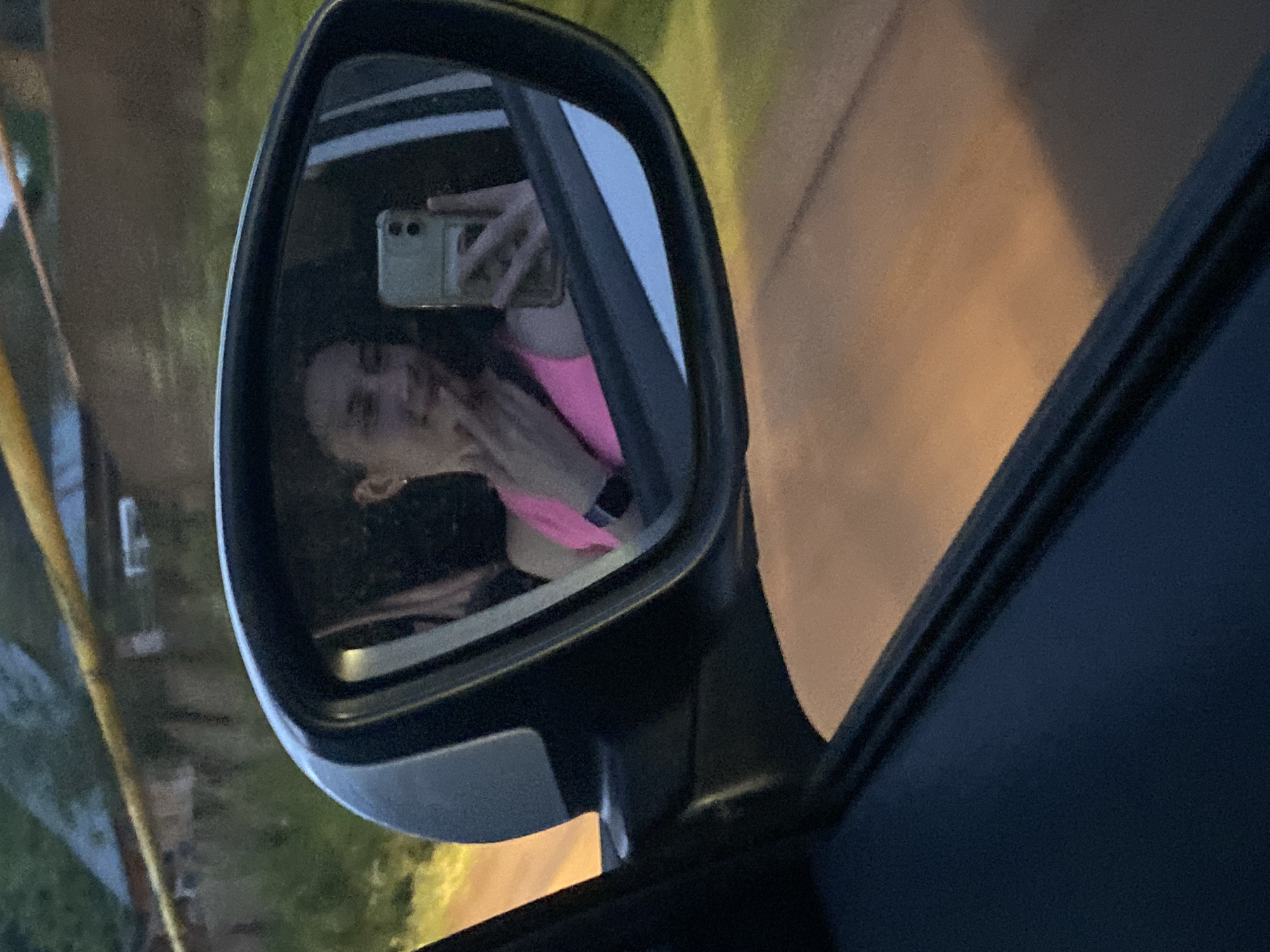 Evening drive through Votkinsk with pets as passengers