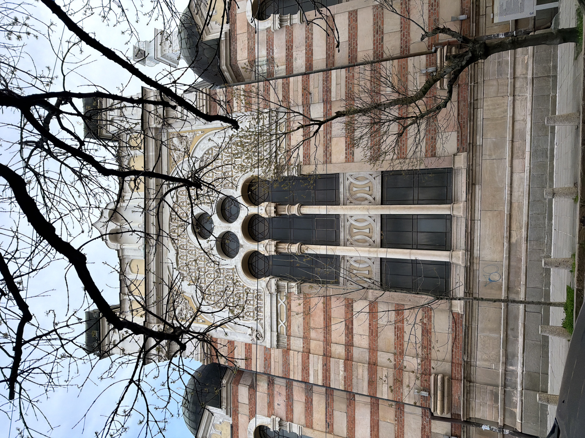 Striped brick building with dome documented through bare trees