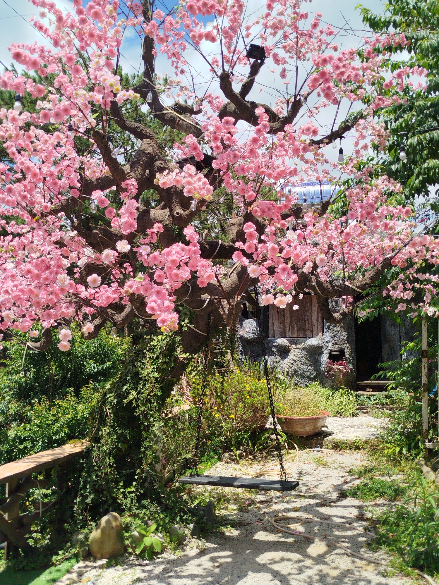 Around Da Lat: gardens, cable cars, cafés, and street scenes