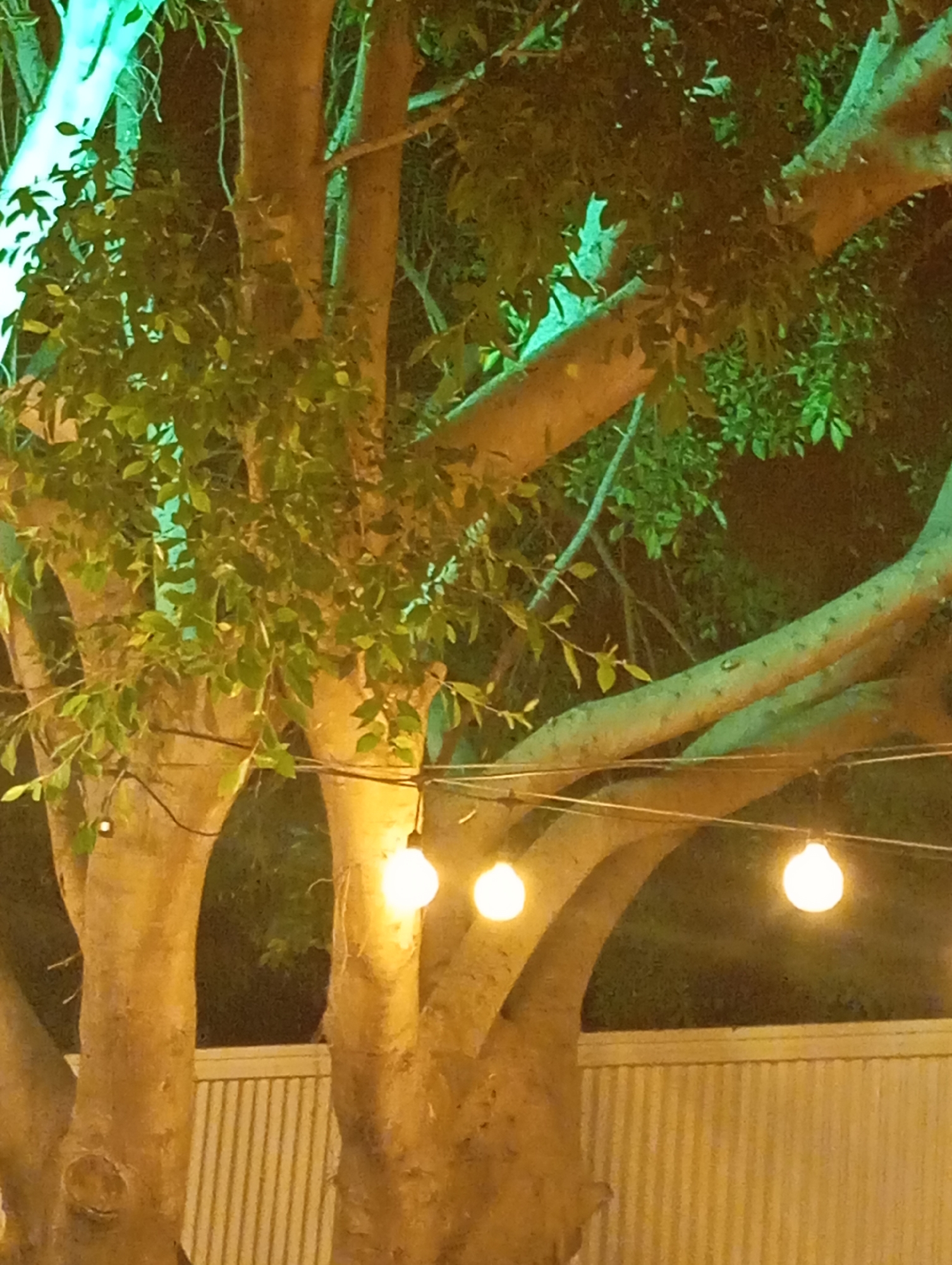 Neon-lit outdoor venue with tropical greenery at night