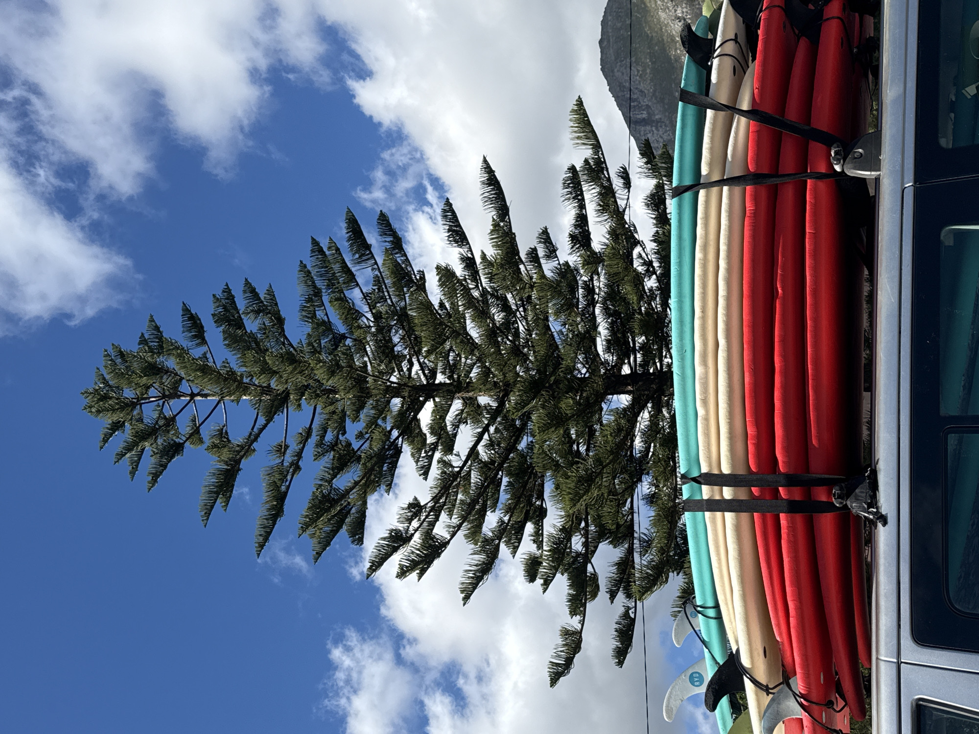 Surfboards spotted on van in Hout Bay, South Africa