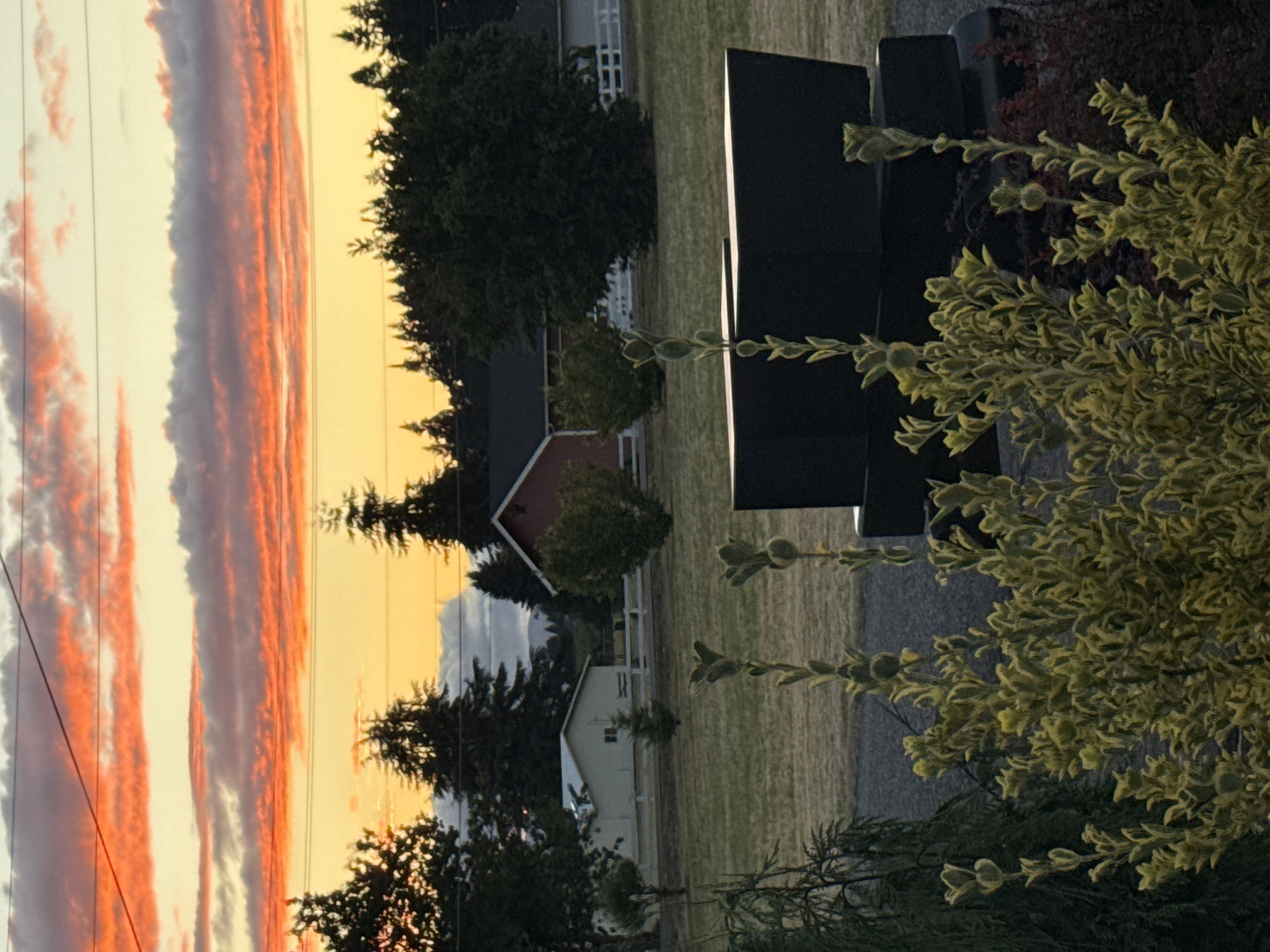 Ridgefield sunset and patio scene, summer evening.
