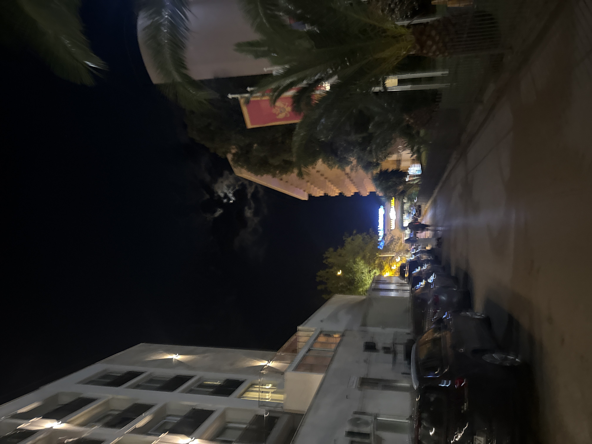 Summer night out at a Montenegrin Riviera beach club