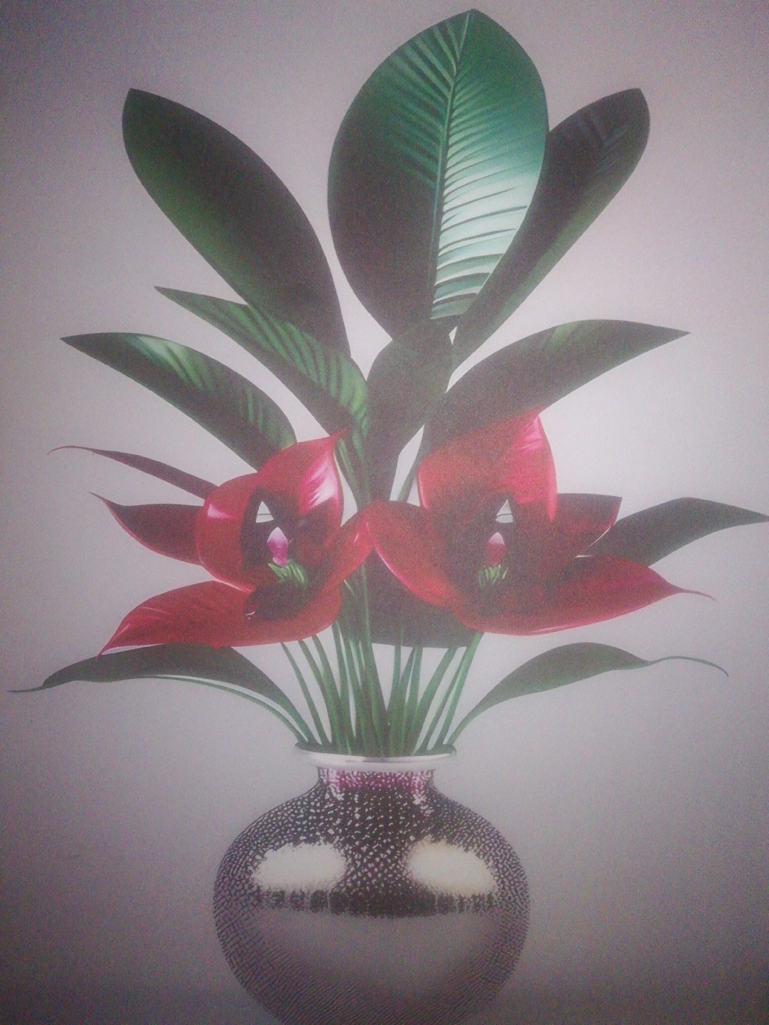 Red flowers in spotted vase documented in Ikorodu