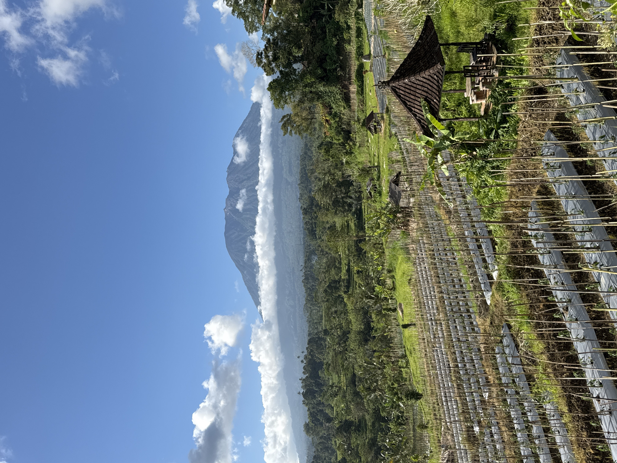 Mount Agung looms over rice paddies in rural Sidemen