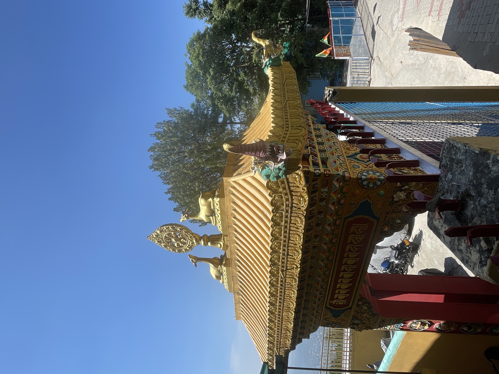 Morning documentation of Buddhist sites and ceremonies in Dharamshala