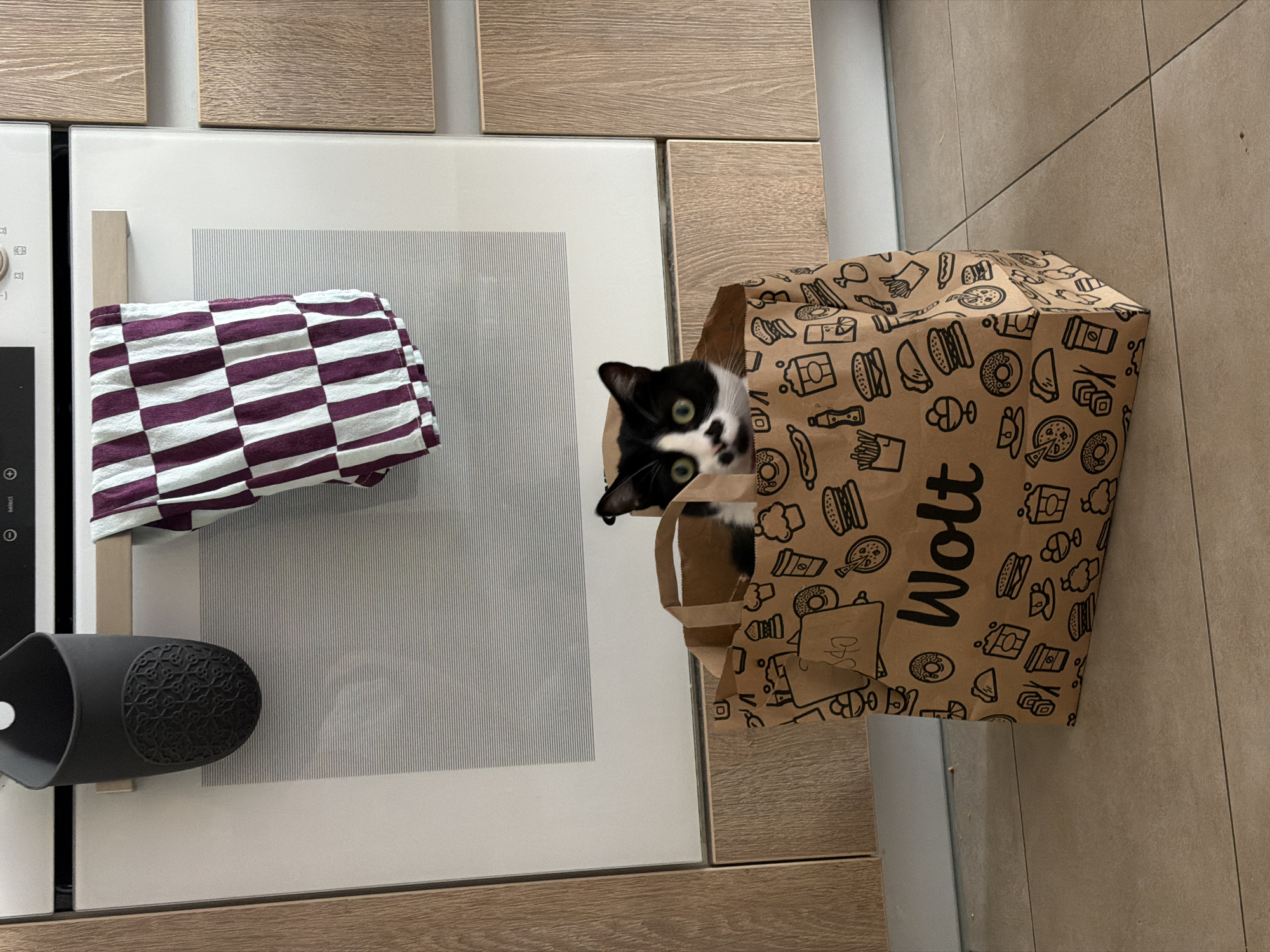 Belgrade resident documents cat, coffee, and city life moments