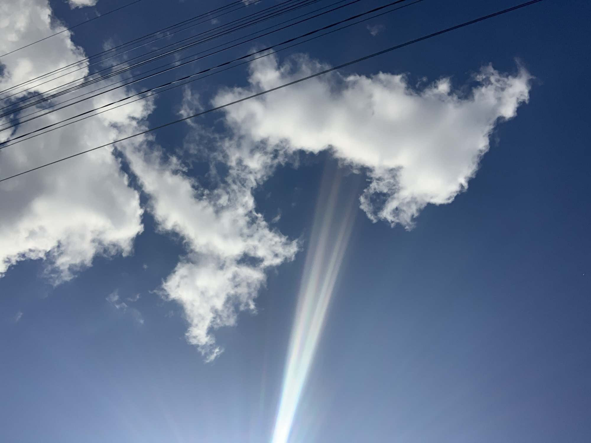 Quiet morning snapshots: coffee, garden, streets, and home