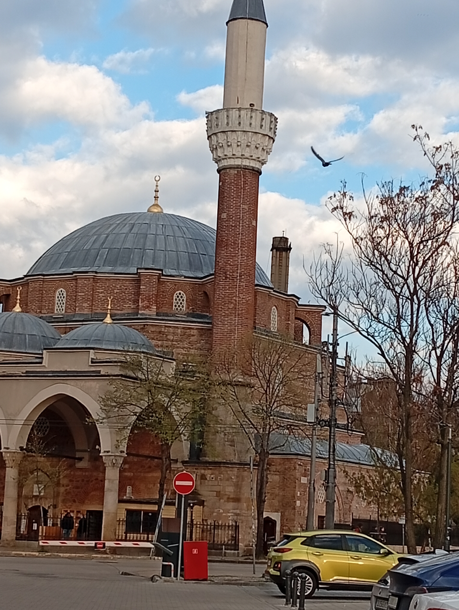 Bird spotted flying near historic Banya Bashi Mosque in Sofia