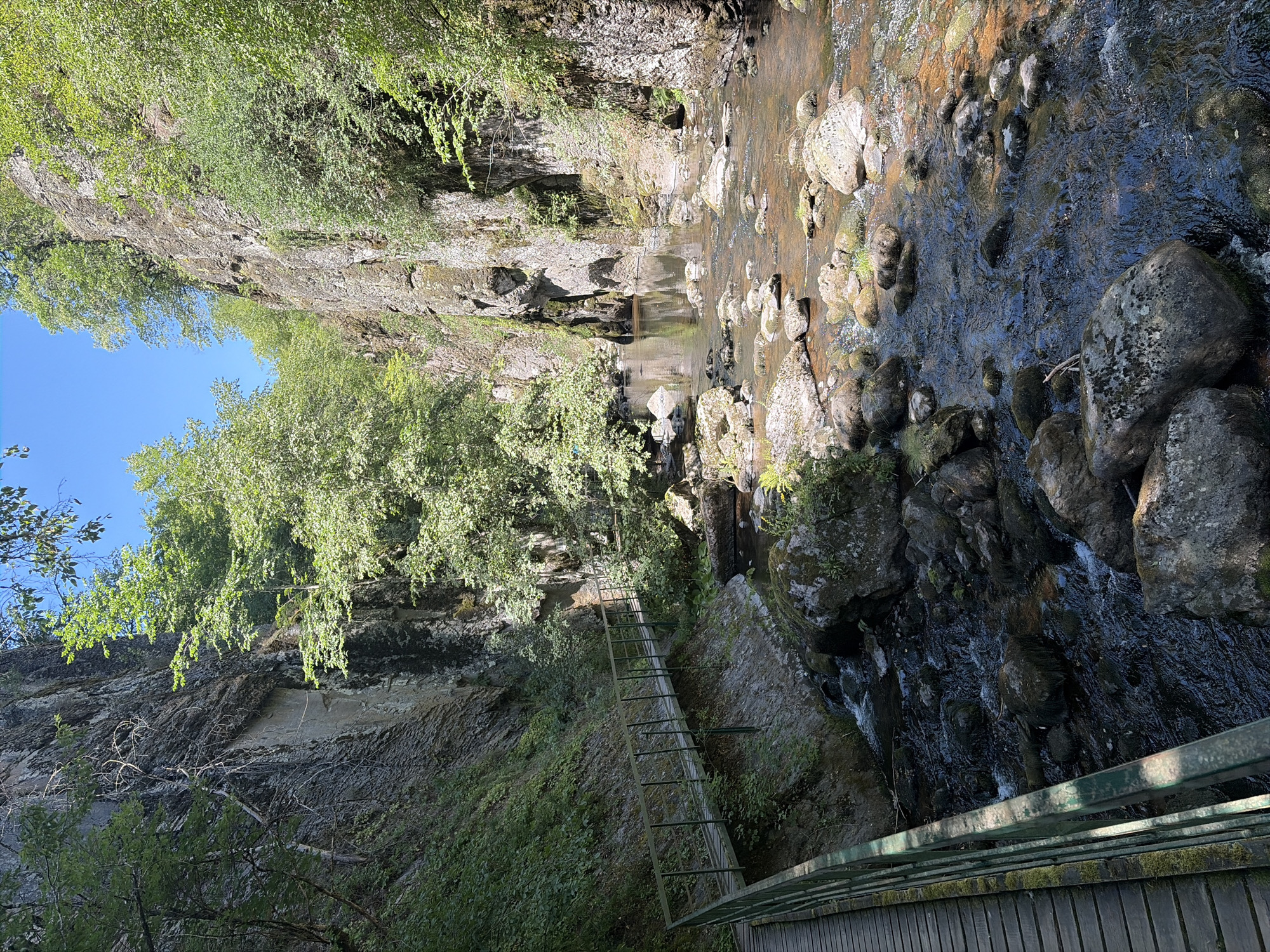 Morning in Devin's gorges: streams, rocks, and a caterpillar