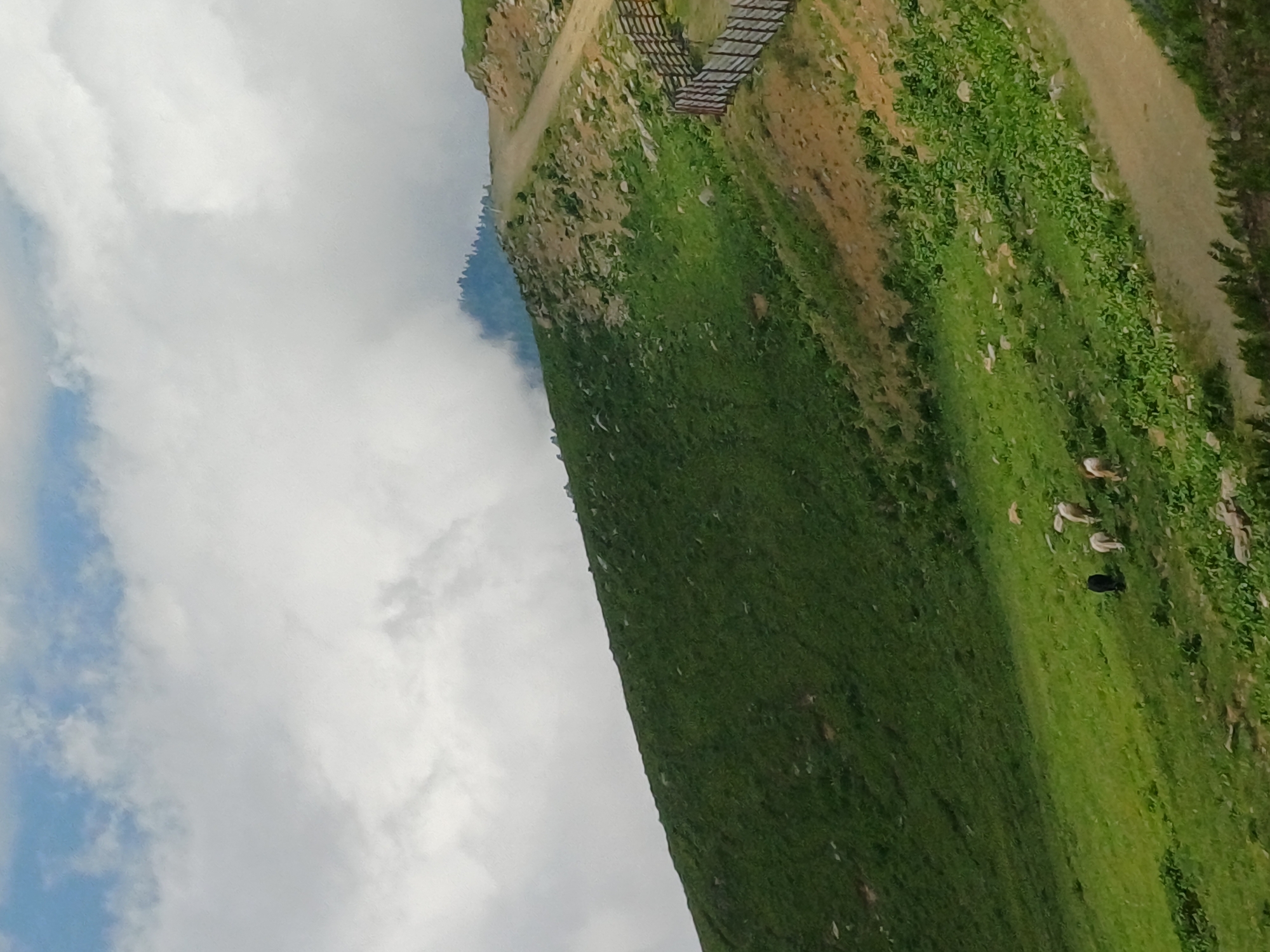 Estosadok, Russia