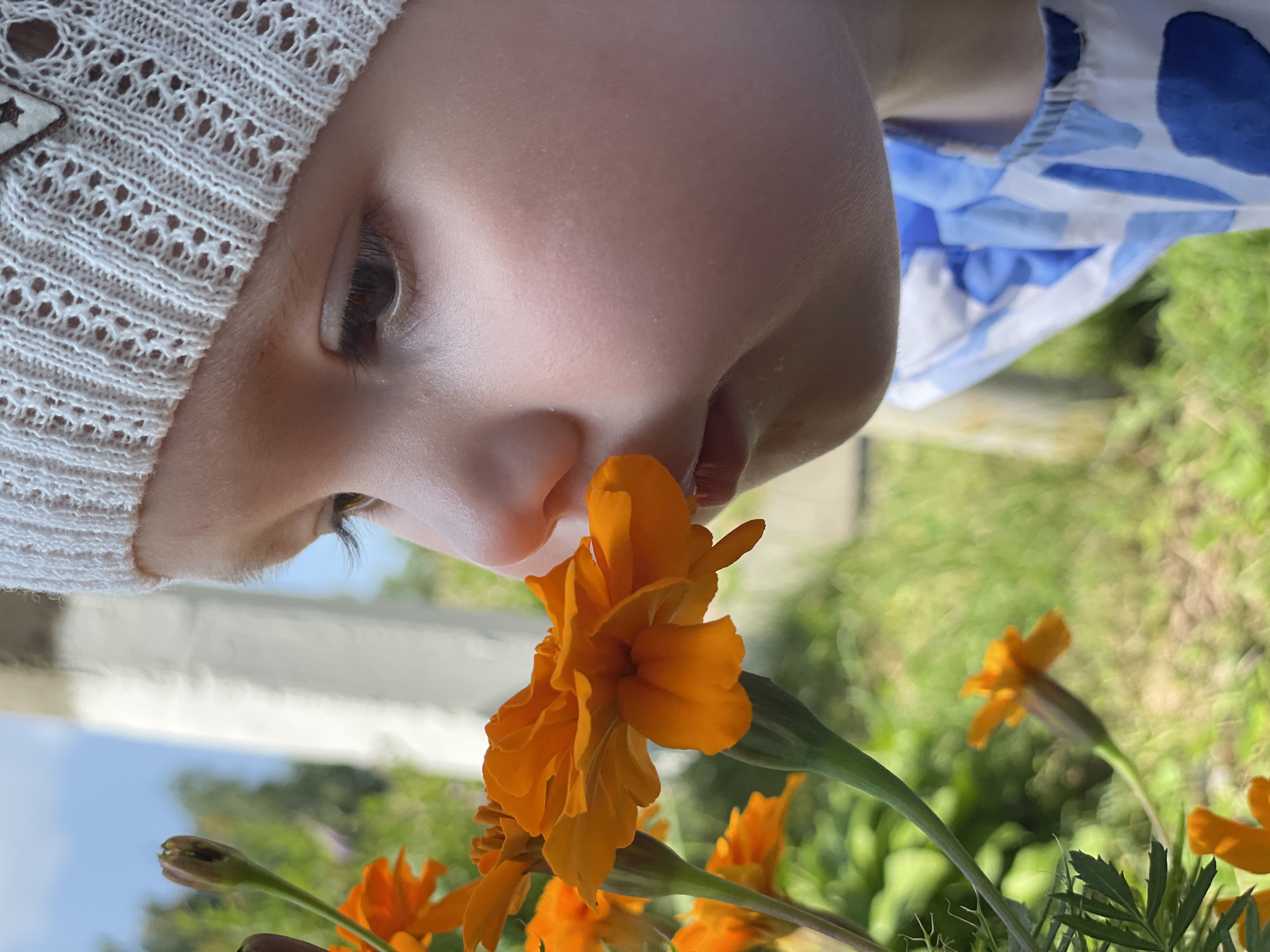 Summer garden exploration in Izhevsk — flowers, birds, and outdoor play