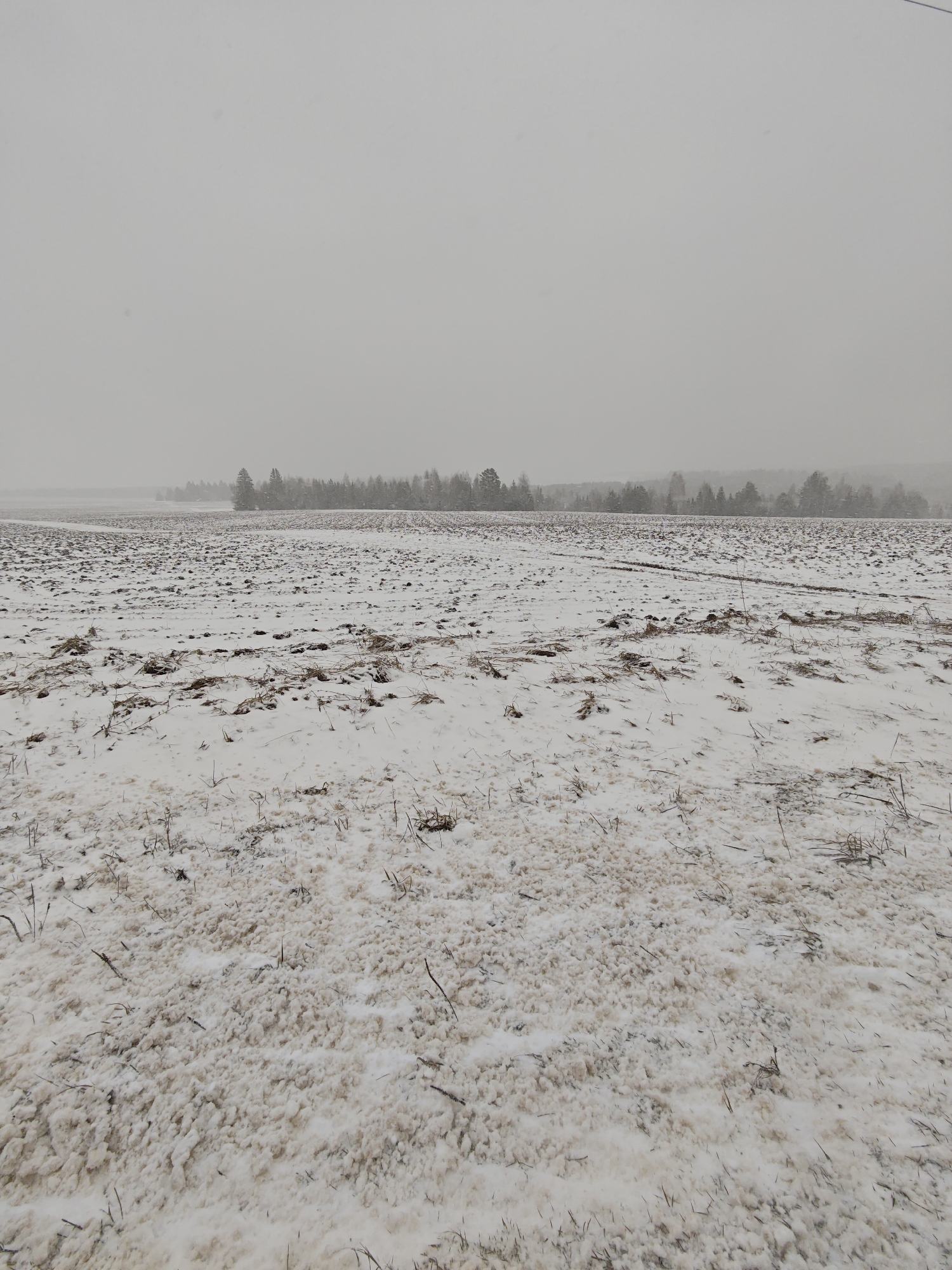 Snow-covered plowed field observed in Foki, Russia