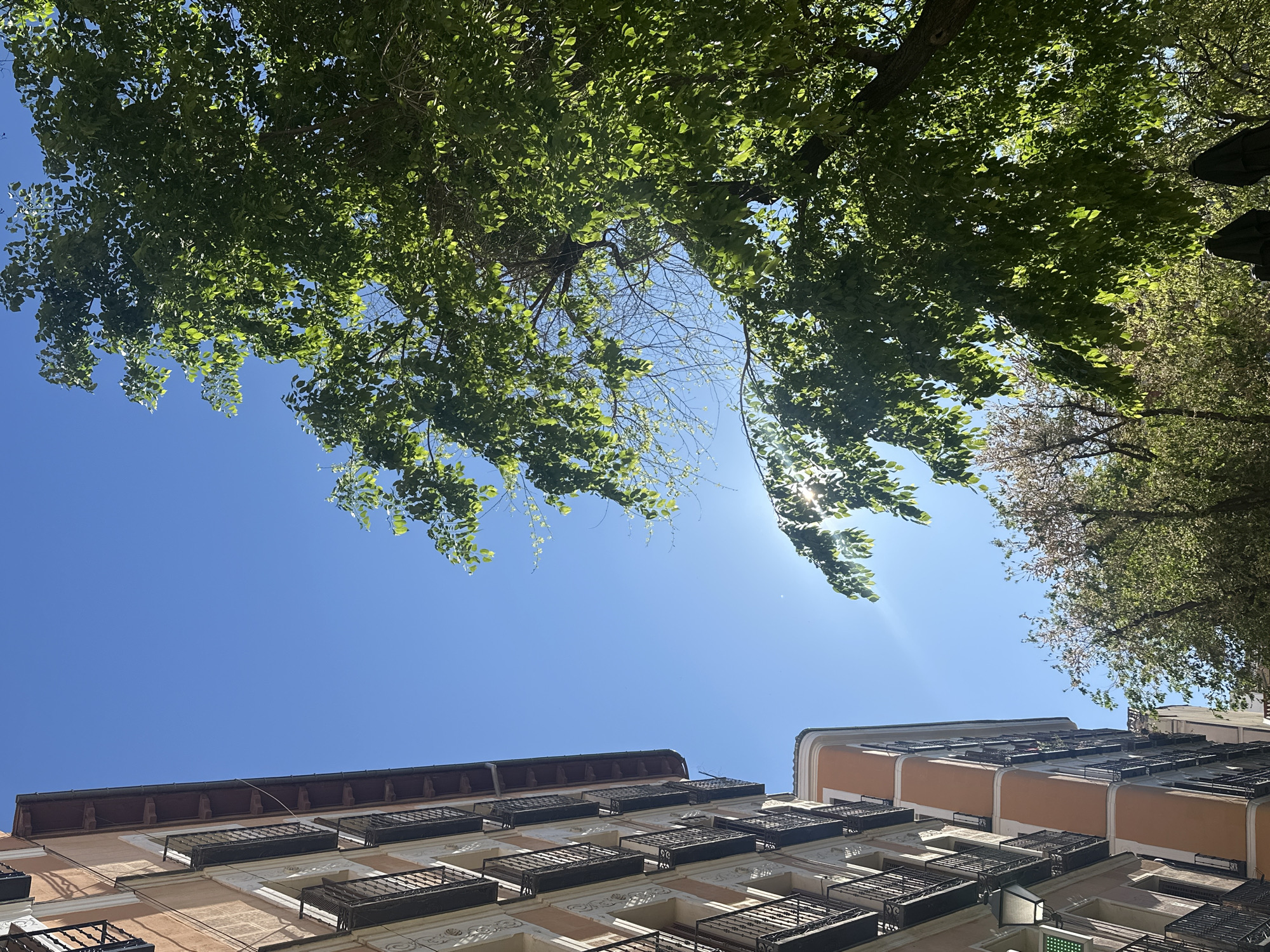 Clear morning skies photographed in Madrid Spain
