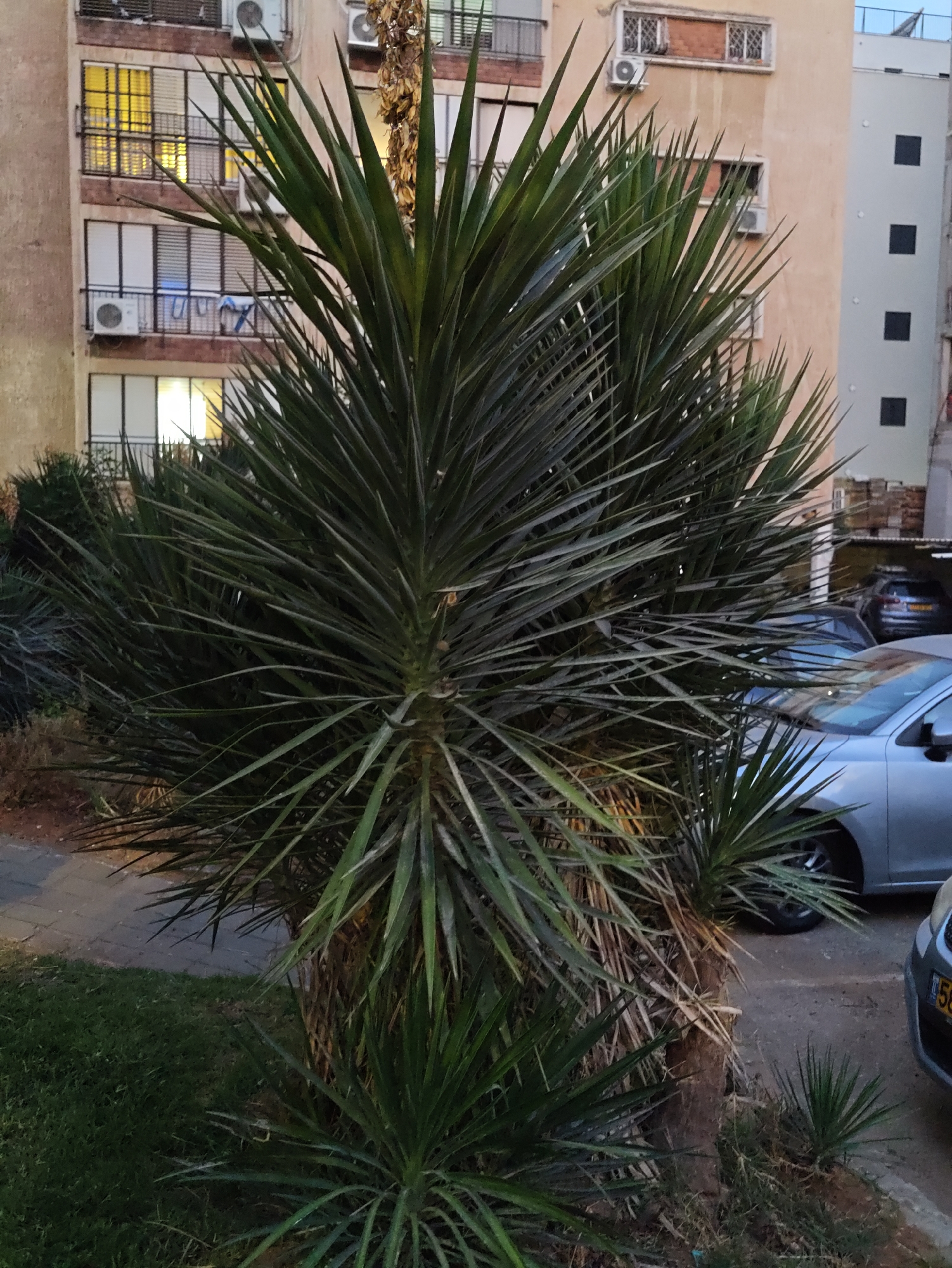 Petah Tikva, Israel