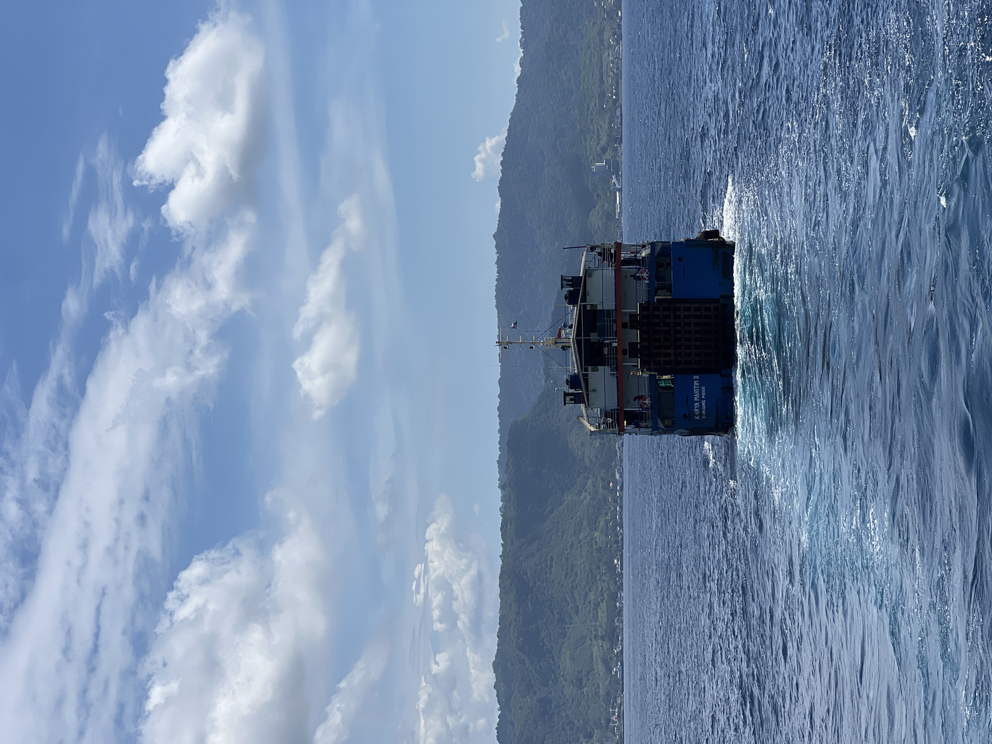 Indonesian vessel Karya Maritim II spotted near vegetated coastline
