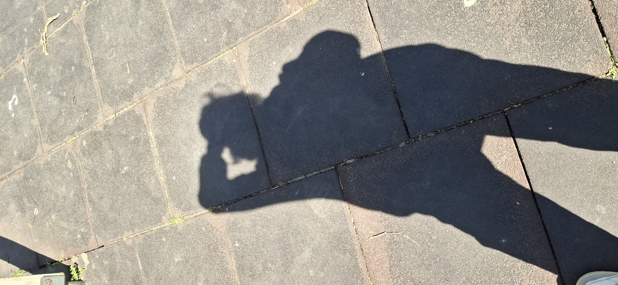 Morning moments captured in Chaikovsky: selfies and playground visits