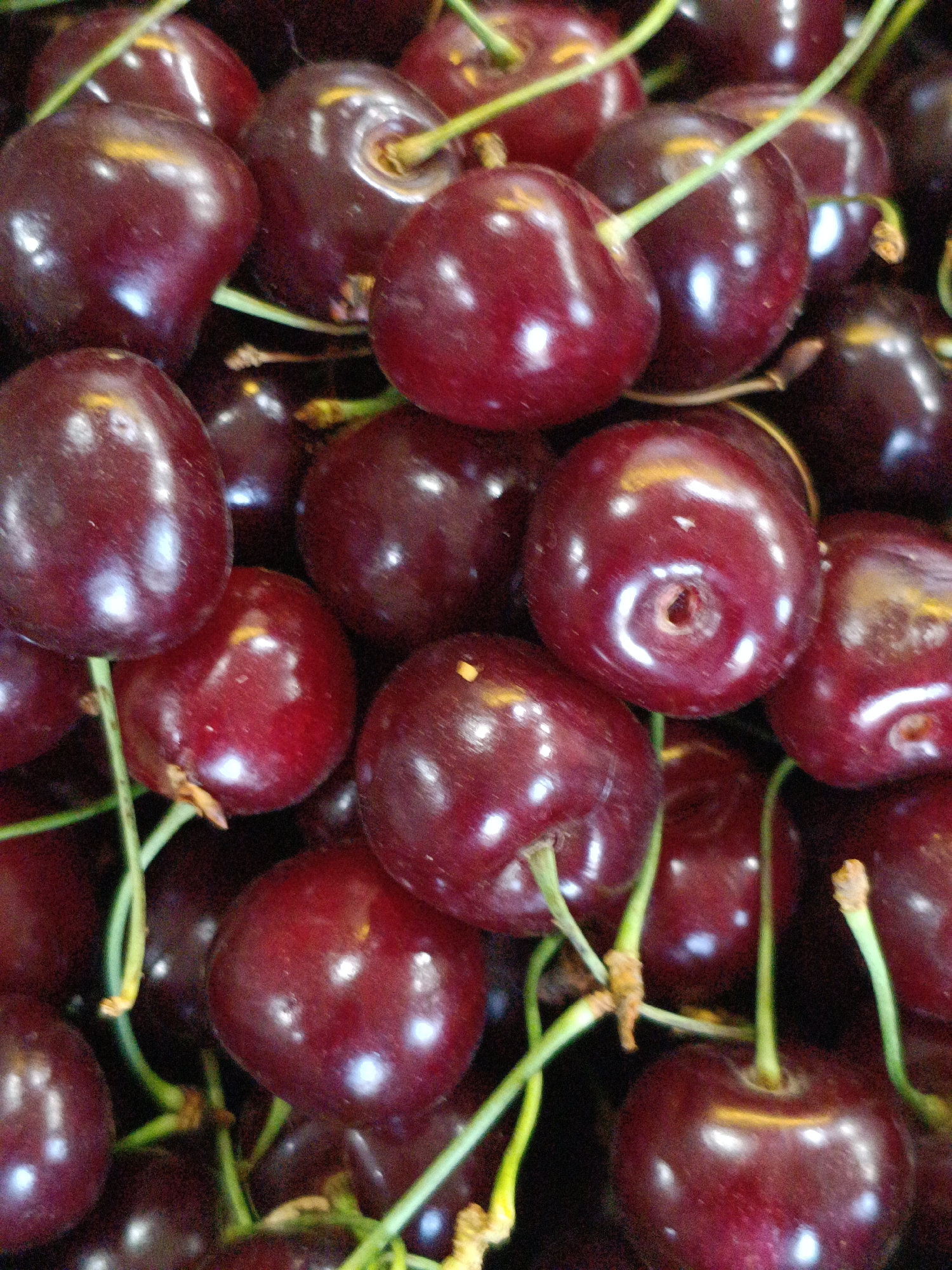 Fresh produce and garden life, close up in Martuni