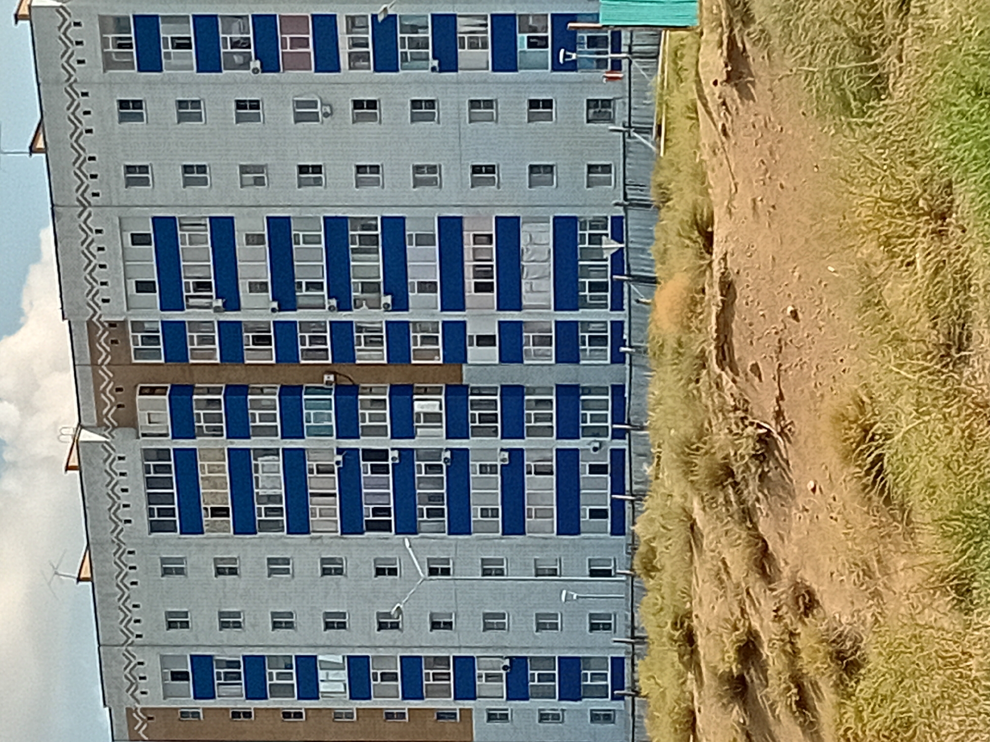 Active construction site in Semey with stray dogs nearby