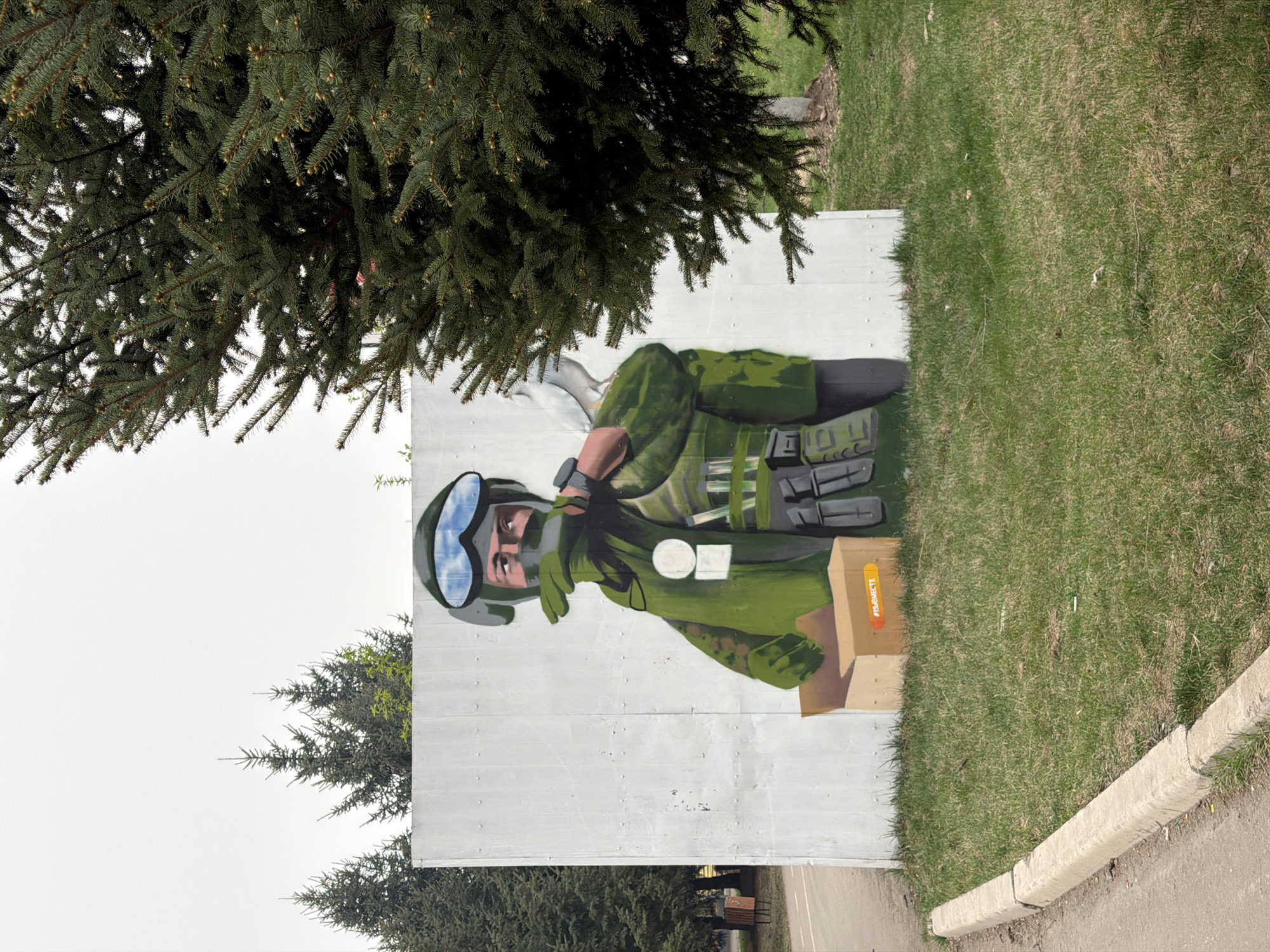 Witness documents Birobidzhan landmarks including Tsoi memorial, military mural