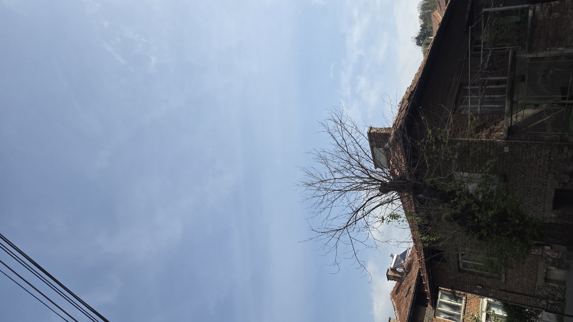 Morning street photography captures upward views in Blagoevgrad, Bulgaria