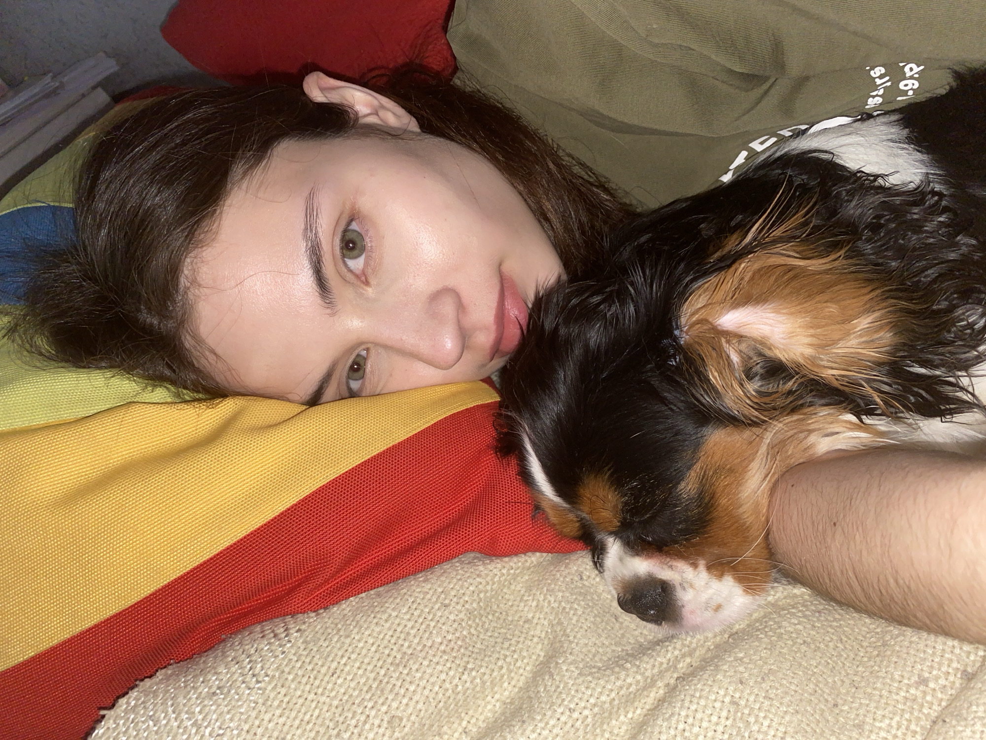 Quiet morning moments with pets documented in Votkinsk home