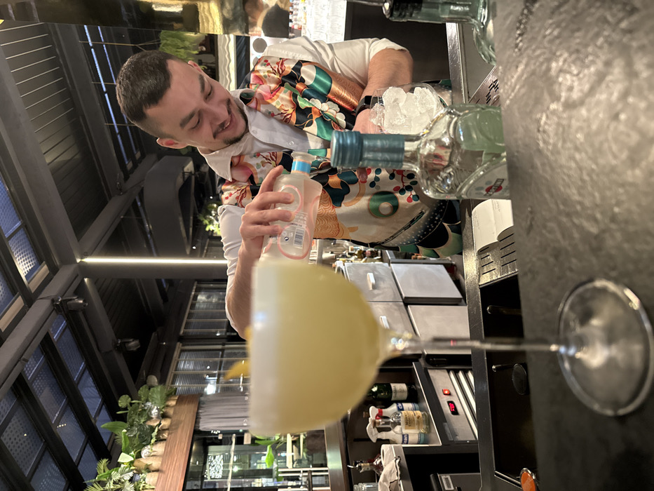 Evening bar service documented in Varna, Bulgaria establishment