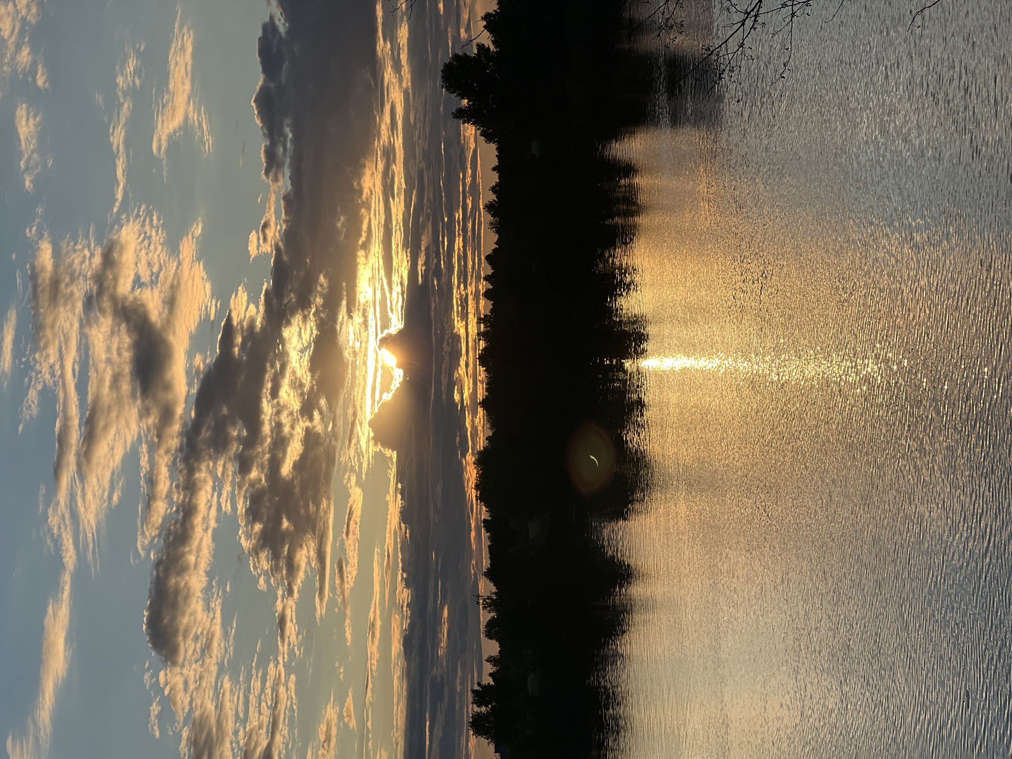 Golden hour along the Volga in Dubna's riverside park