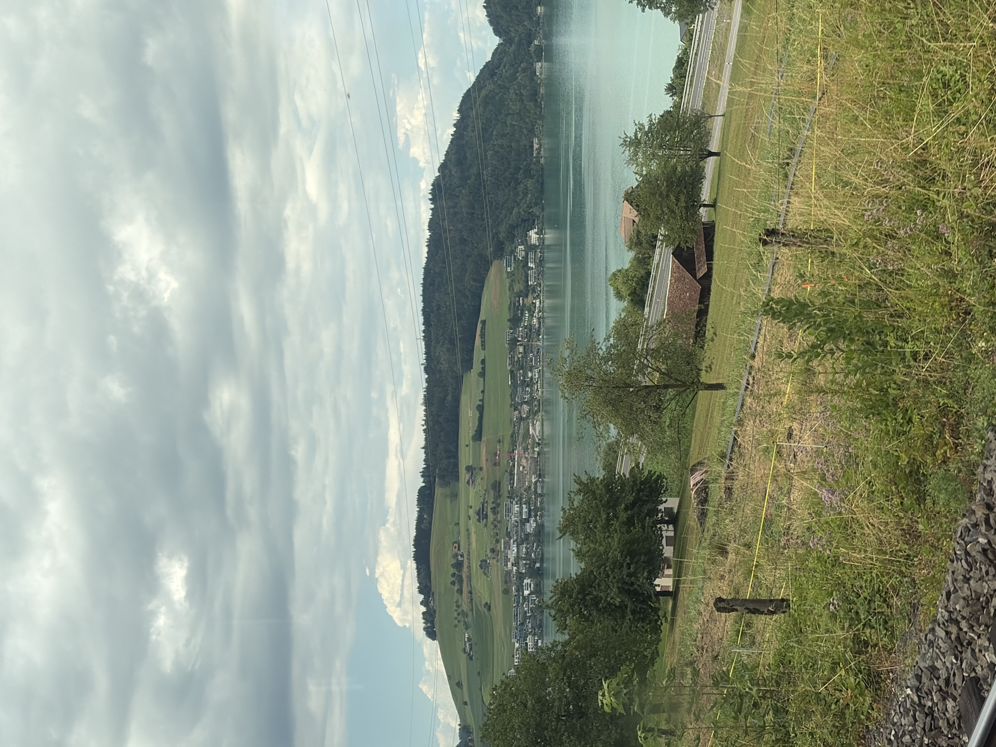 Still lake and forested hills under overcast skies in Immensee
