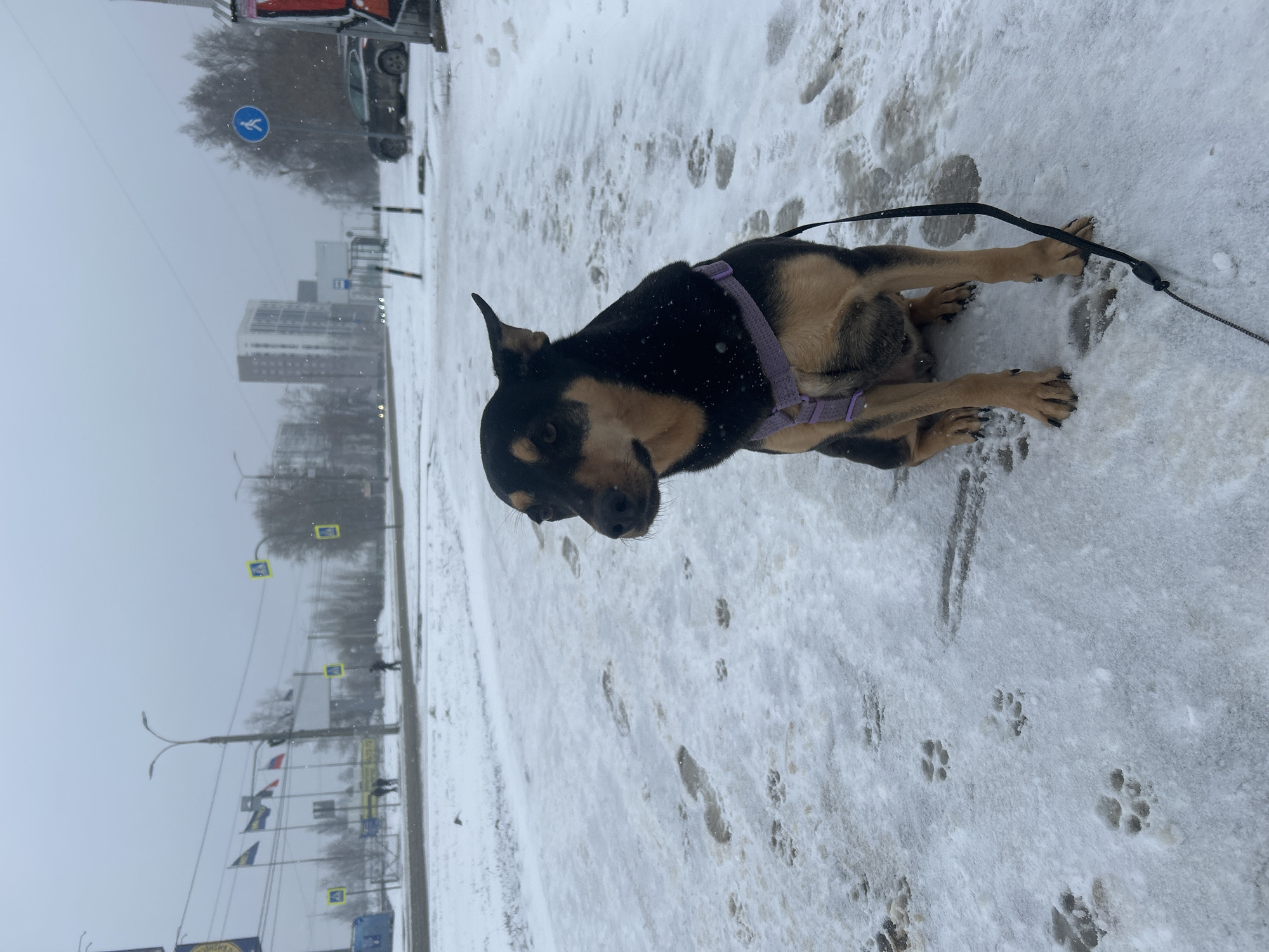 Woman takes snowy selfie in Izhevsk street scene