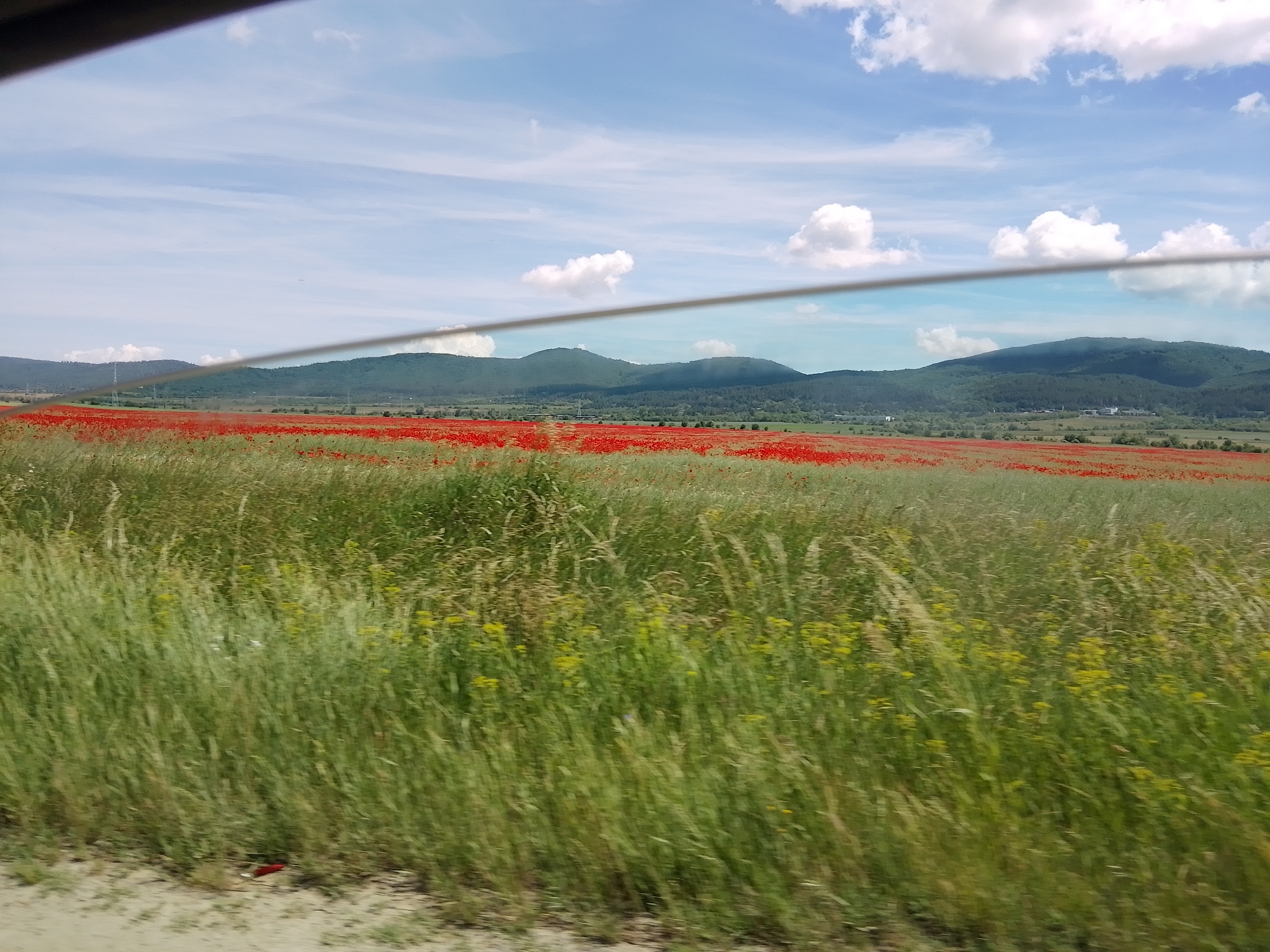 Rural road journey through countryside captured by multiple witnesses
