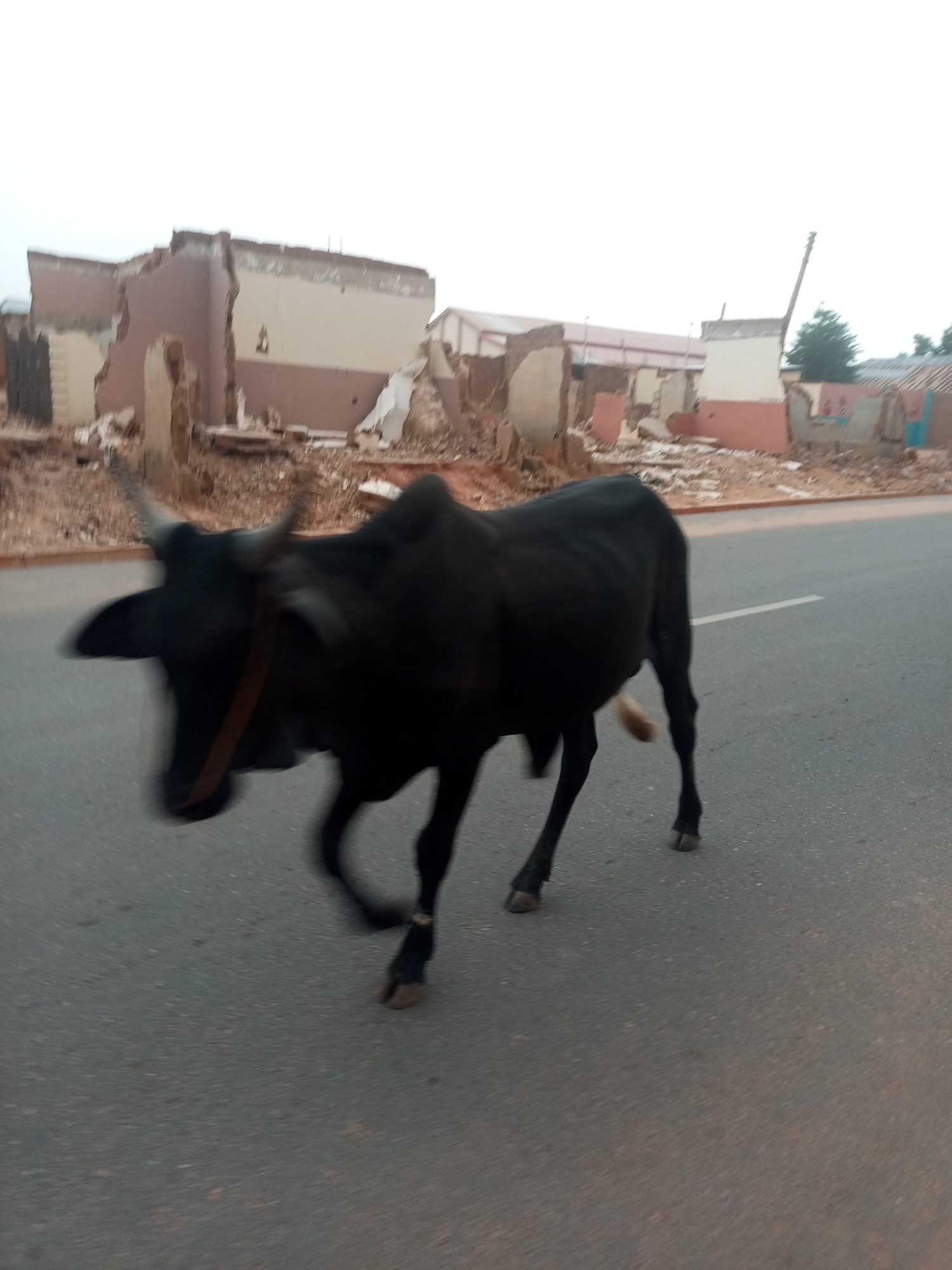 Urban street life documented in unidentified neighborhood