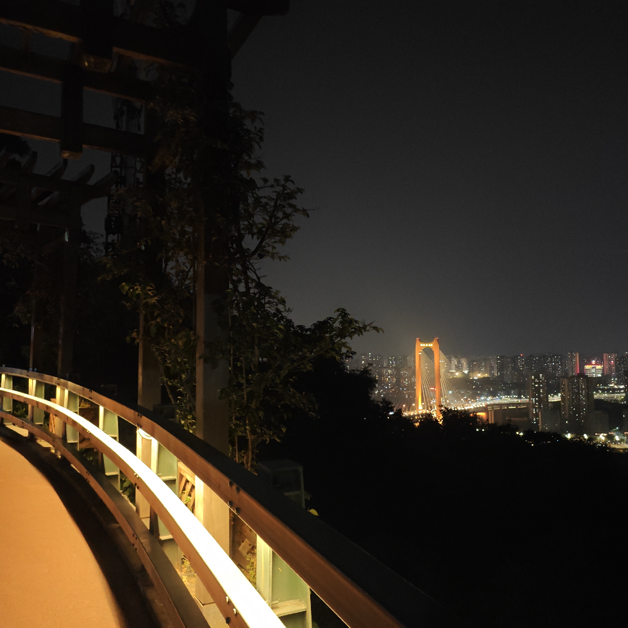 Nighttime illumination captured across Yuzhong District landmarks and walkways