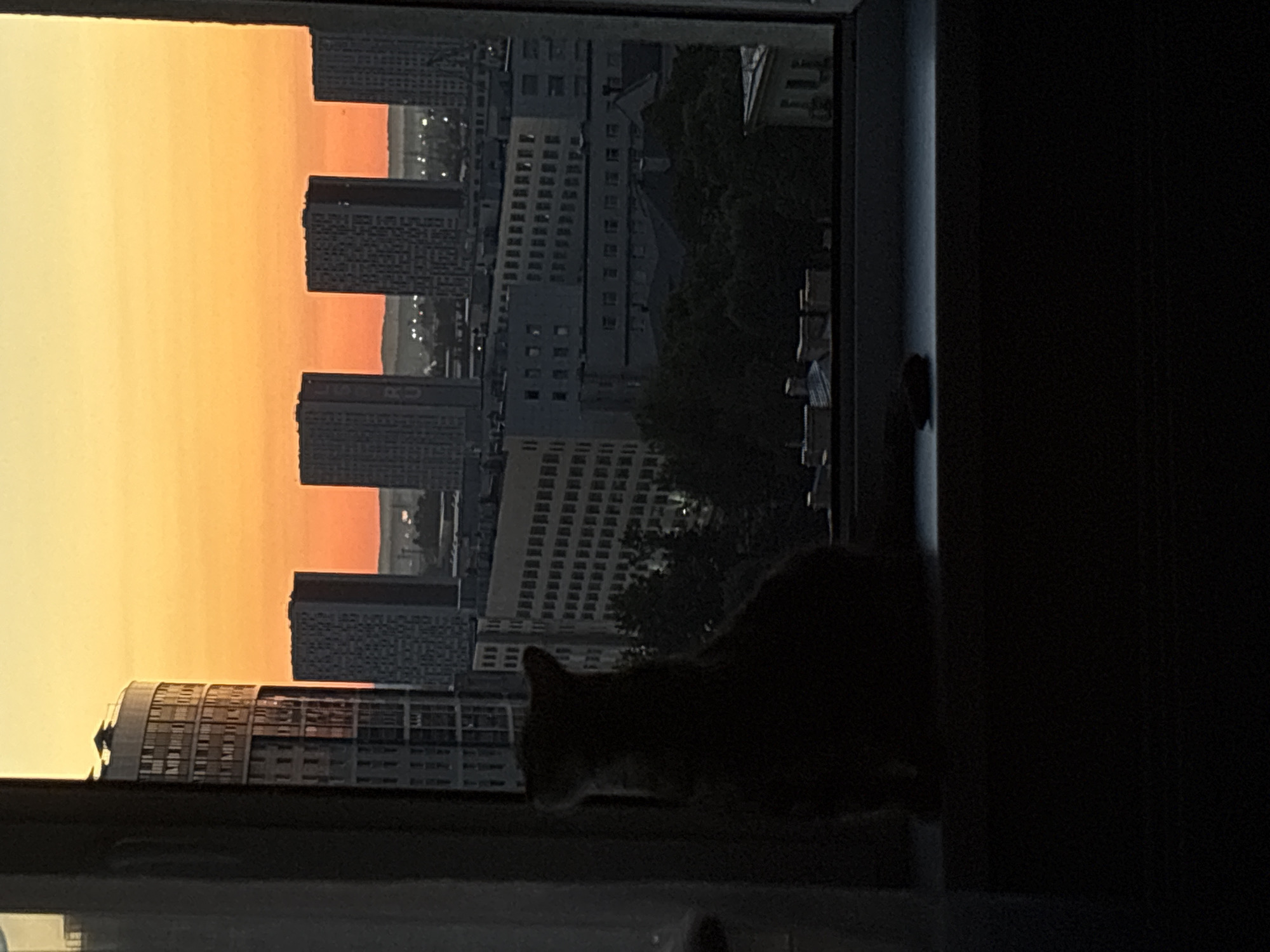 Cat on a windowsill, framed against a Nikolskoye sunset