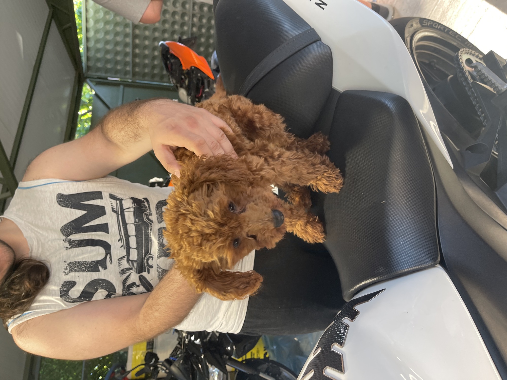 Sofia resident spends evening with puppy in motorcycle garage