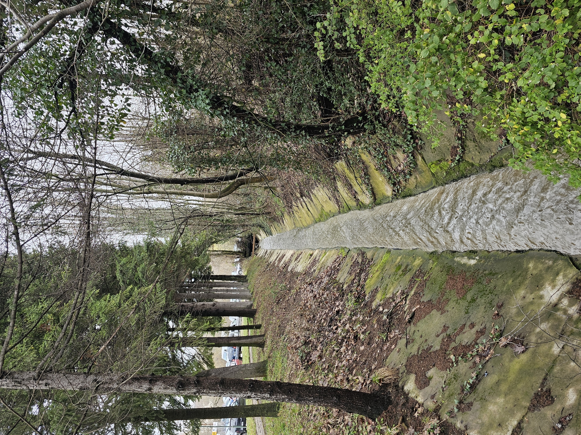 Drainage canal flows through wooded area in Gabrovo