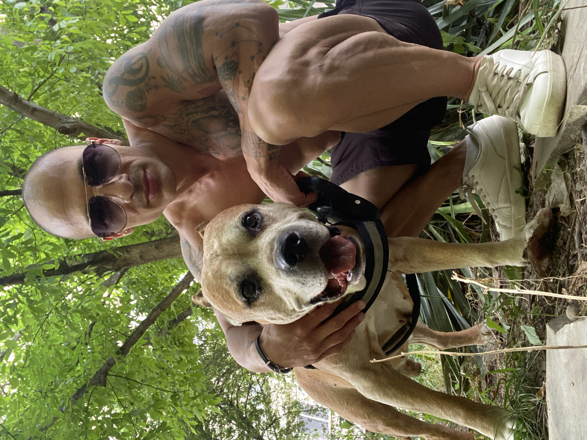 Afternoon hangout with a dog in a Pleven park