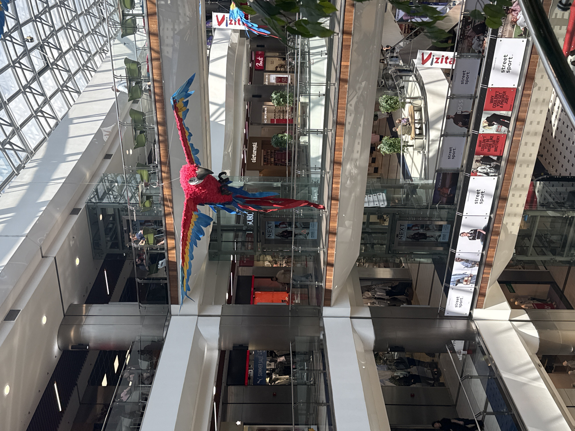 Lunch stop at Chișinău's Atrium mall, macaw and all