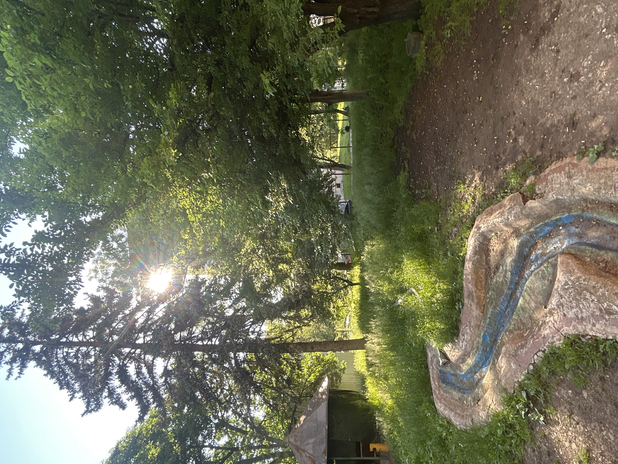 Urban scenes and park observations documented across 90 minutes