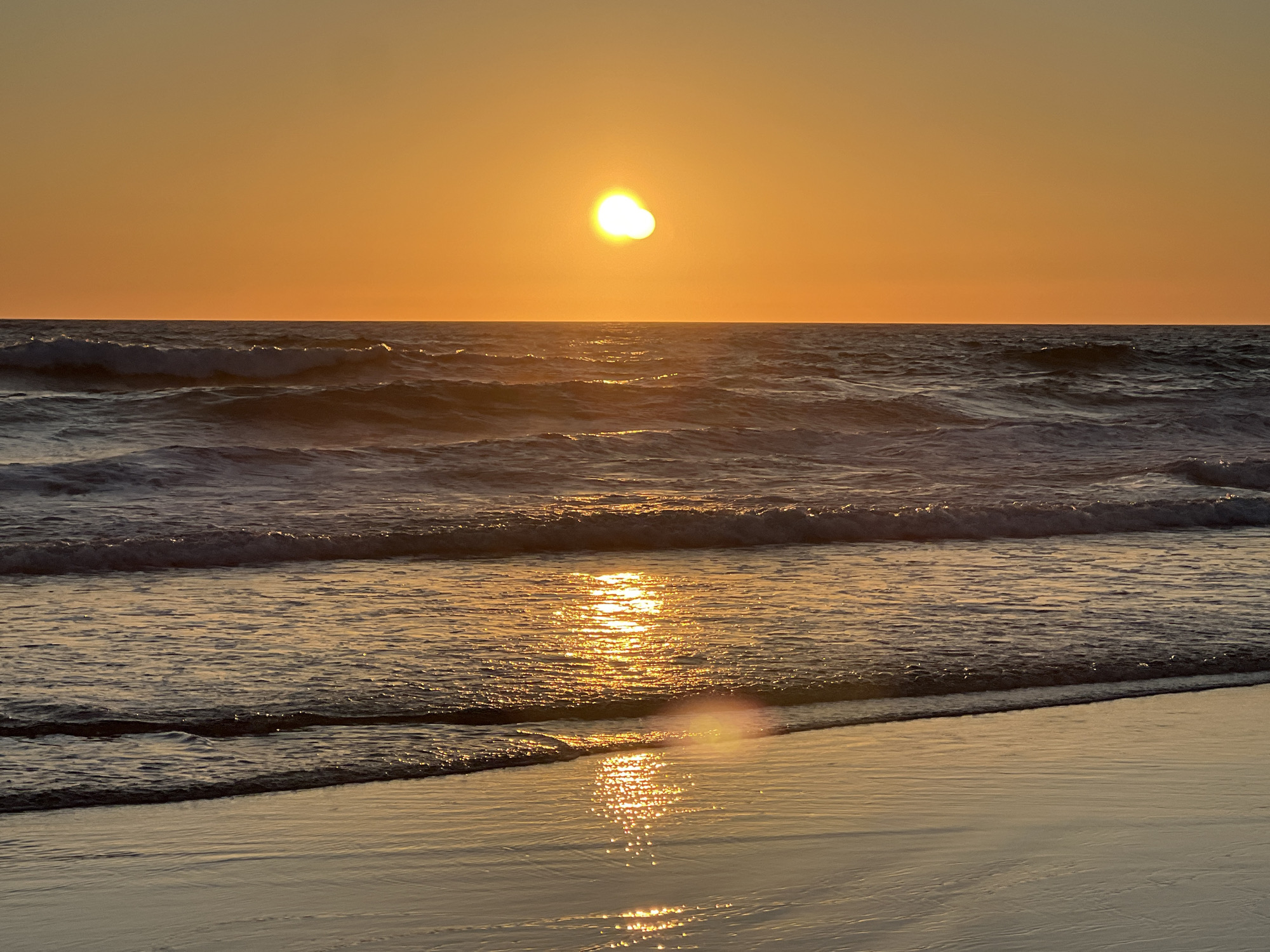 Golden hour on a Conil de la Frontera beach with dogs and waves