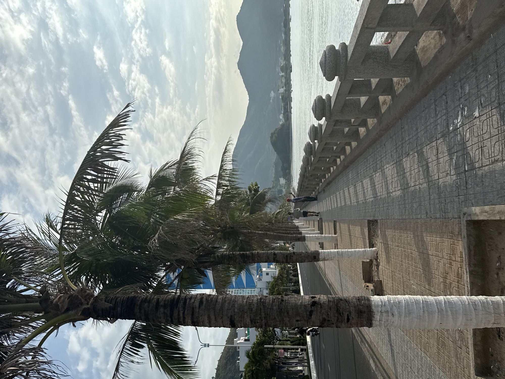 Evening walk along Nha Trang's palm-lined coastal promenade
