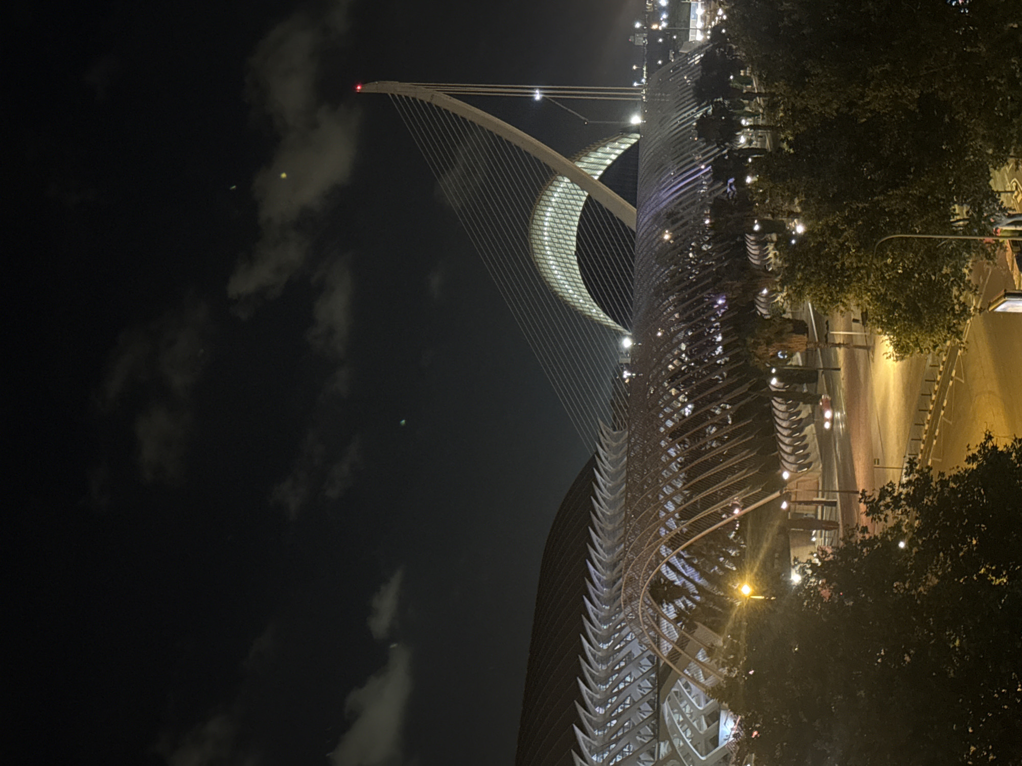 Night tour of Valencia's City of Arts and Sciences