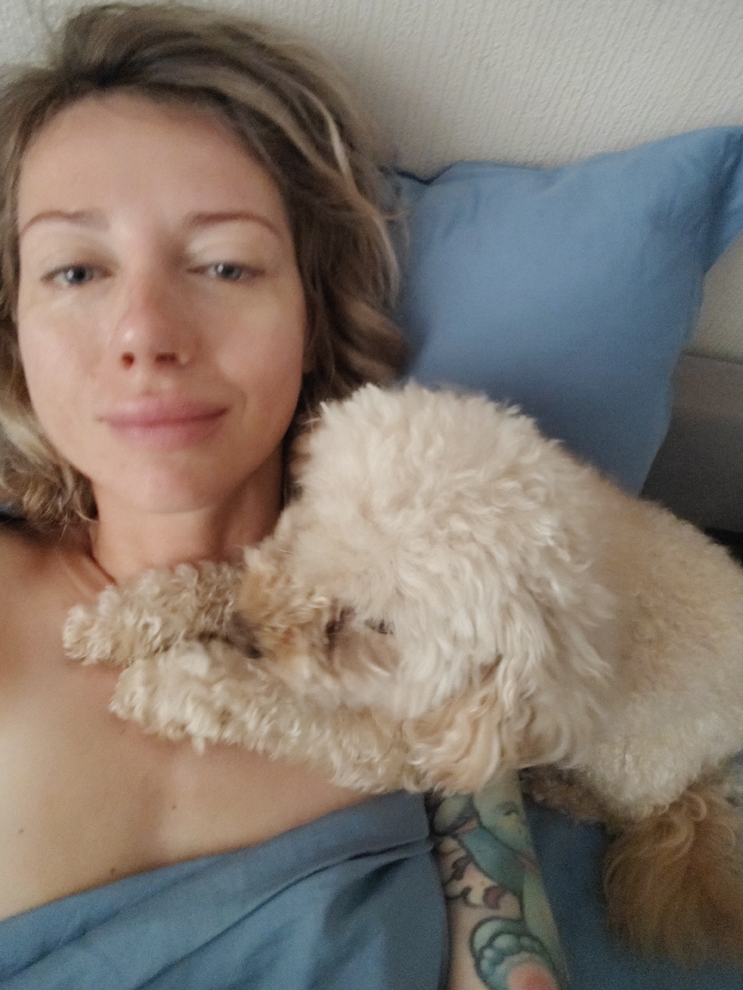 Relaxed morning in bed with a fluffy poodle, Saint Petersburg