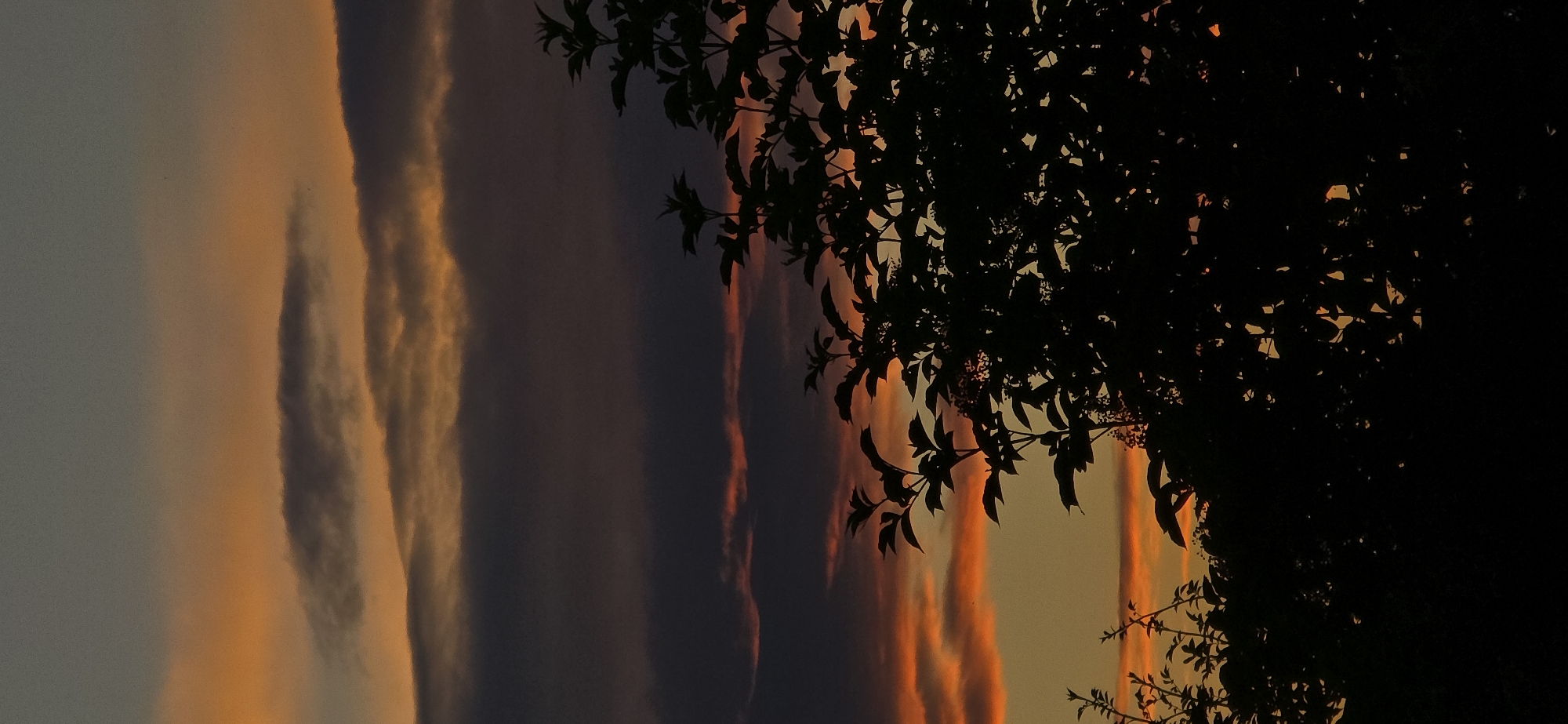 Vivid sunset sky caught from two angles, clouds and color.