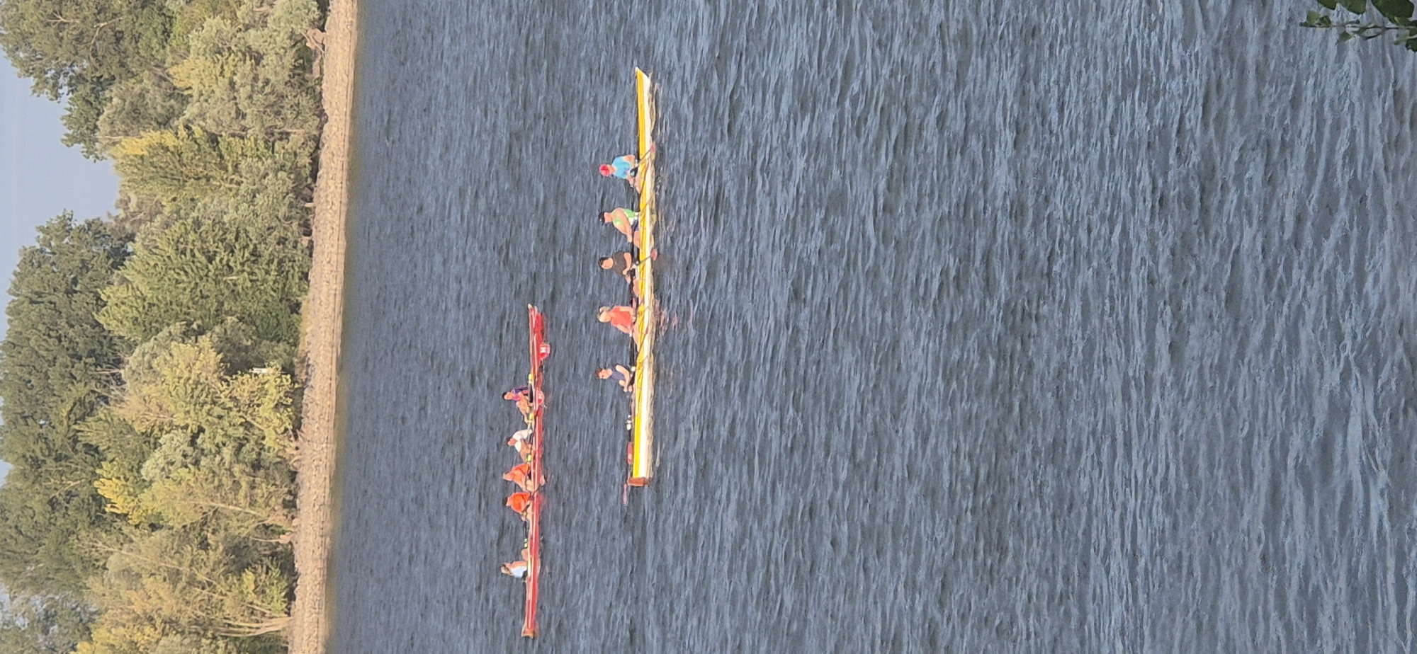 Rowing crews and river traffic share the Rhine in Mainz