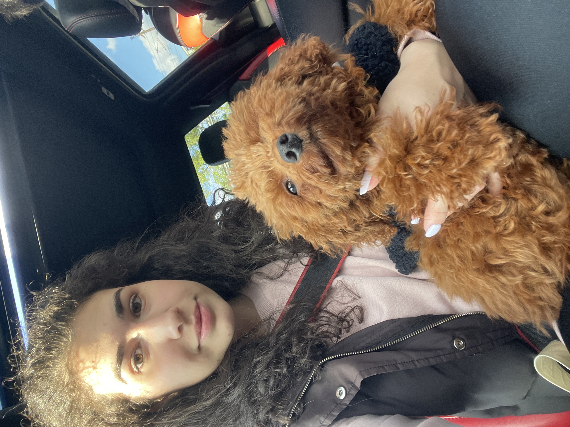 Woman holds poodle in car with sunroof in Busmantsi