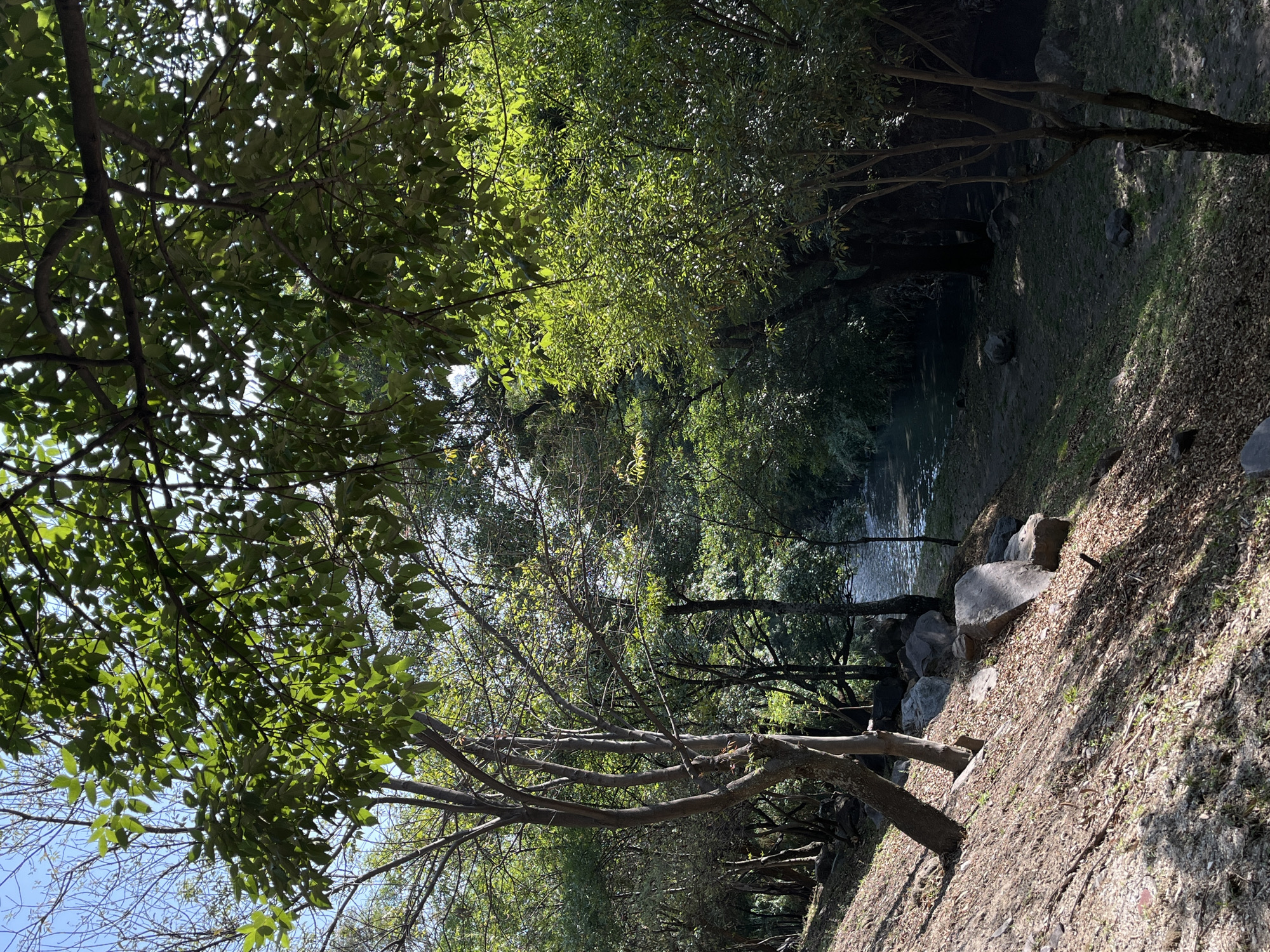 Water canal observed along Paseo del Teleférico in Puebla
