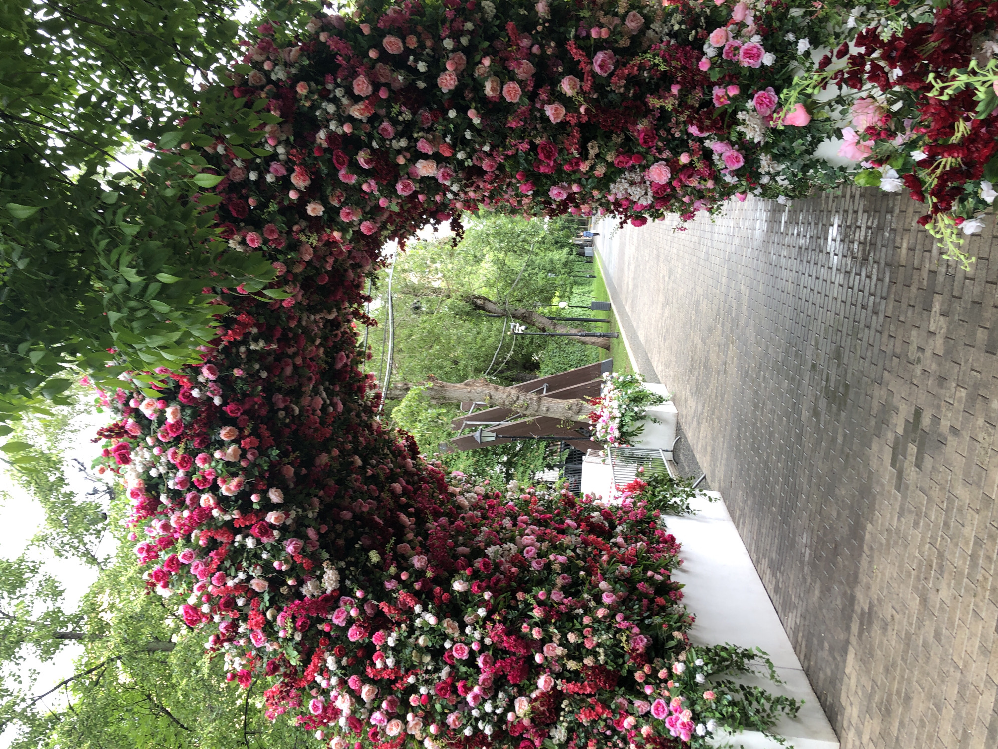 Rose archway blooms in Moscow park walkway